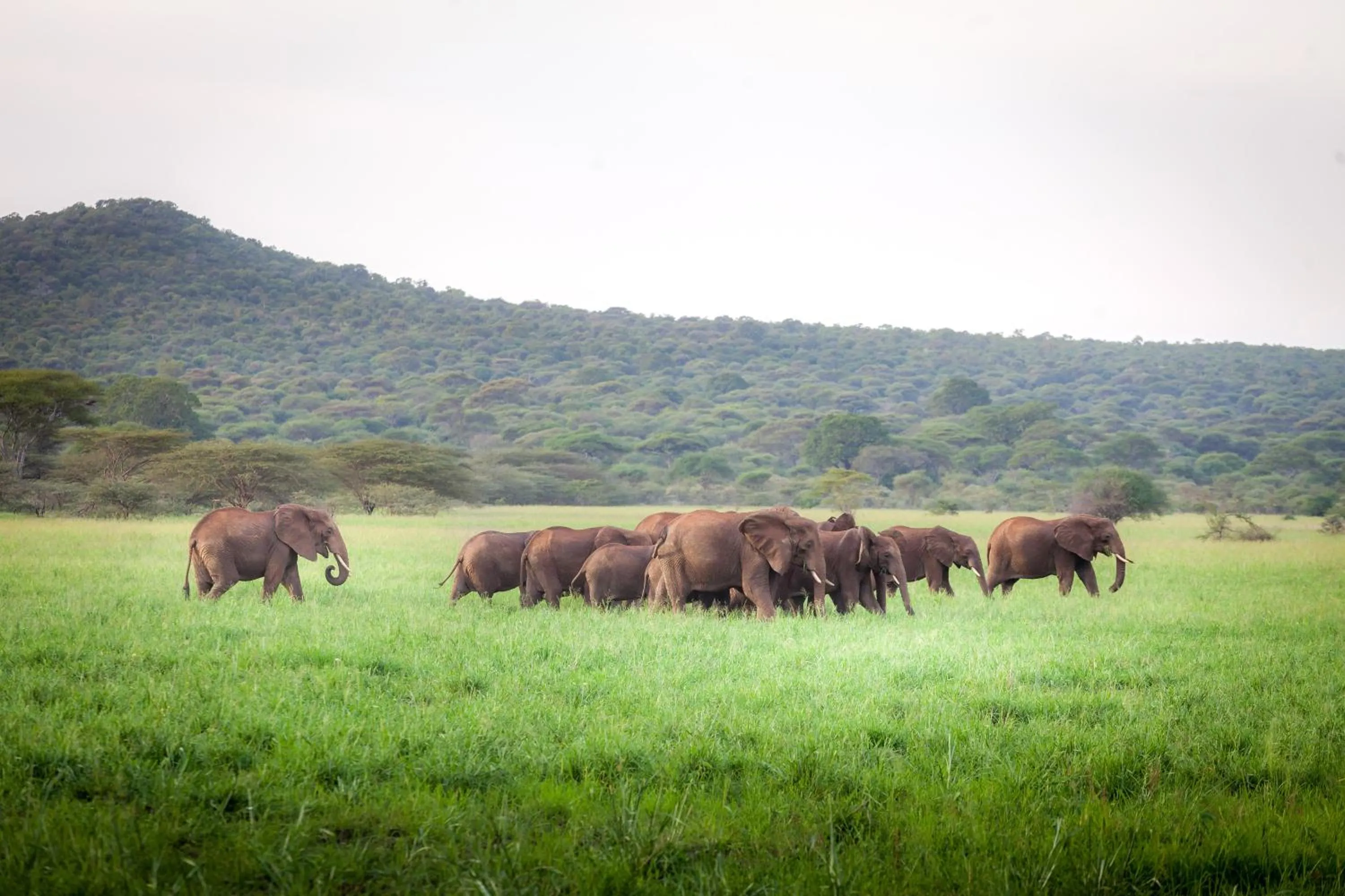 Natural landscape in Baobab Tented Camp