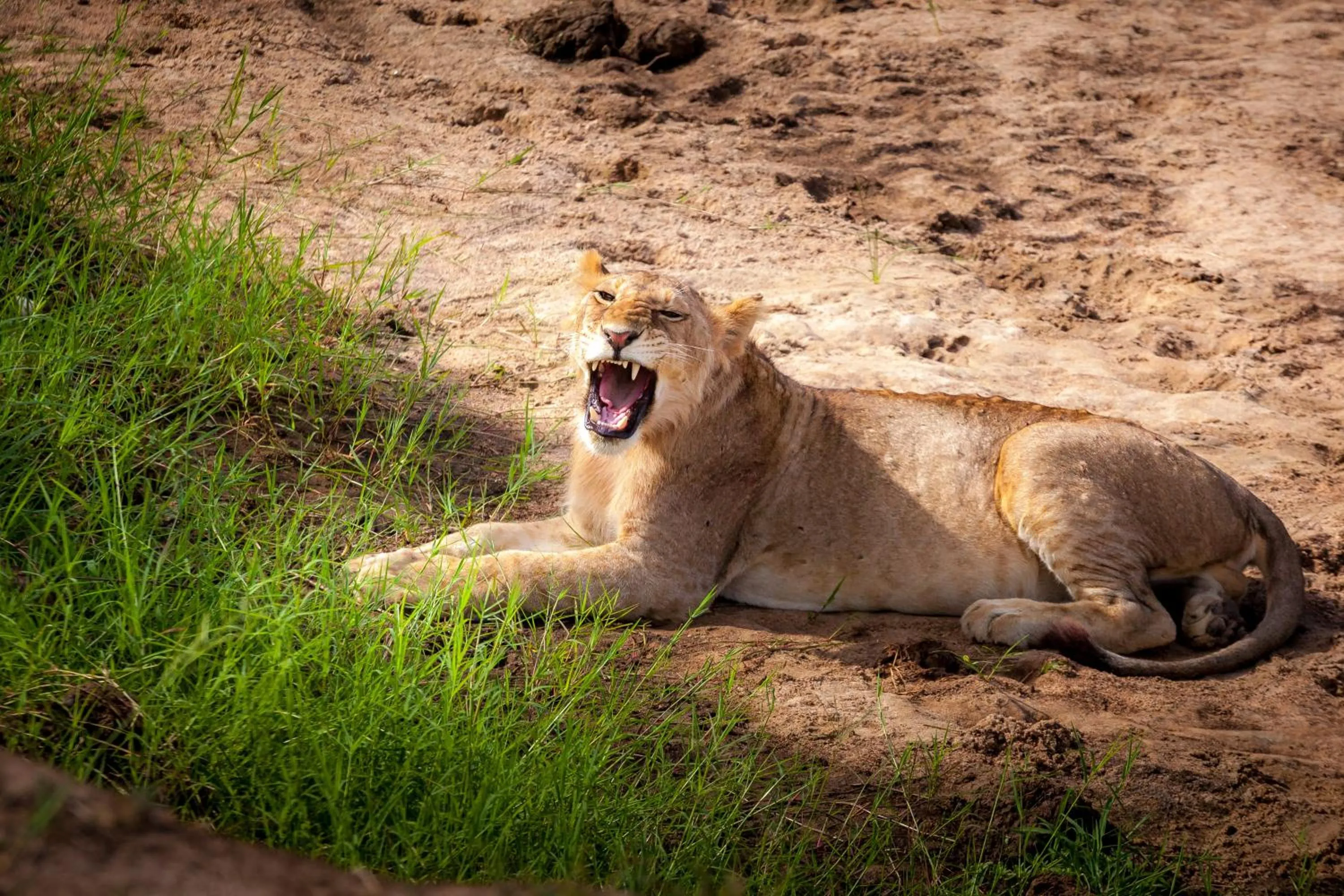 Natural landscape in Baobab Tented Camp