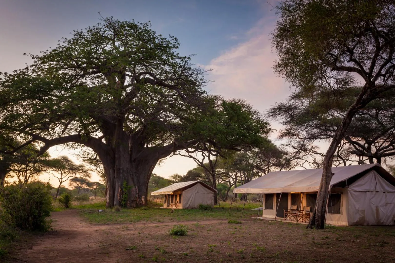 View (from property/room) in Baobab Tented Camp