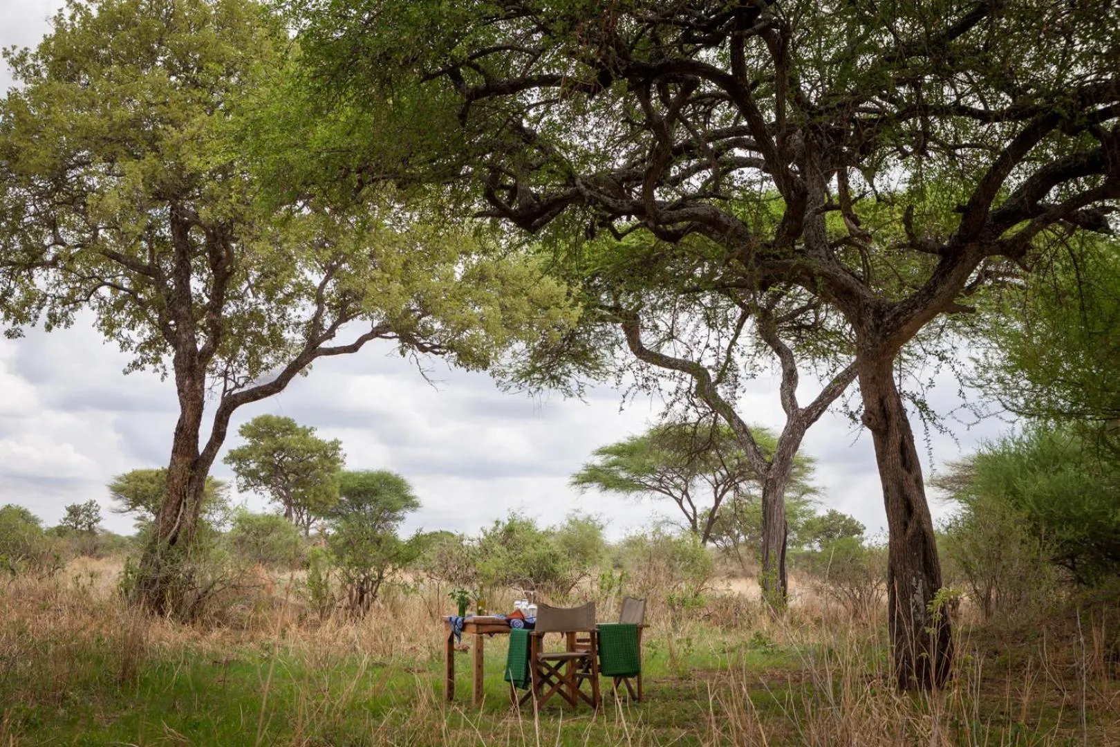View (from property/room) in Baobab Tented Camp