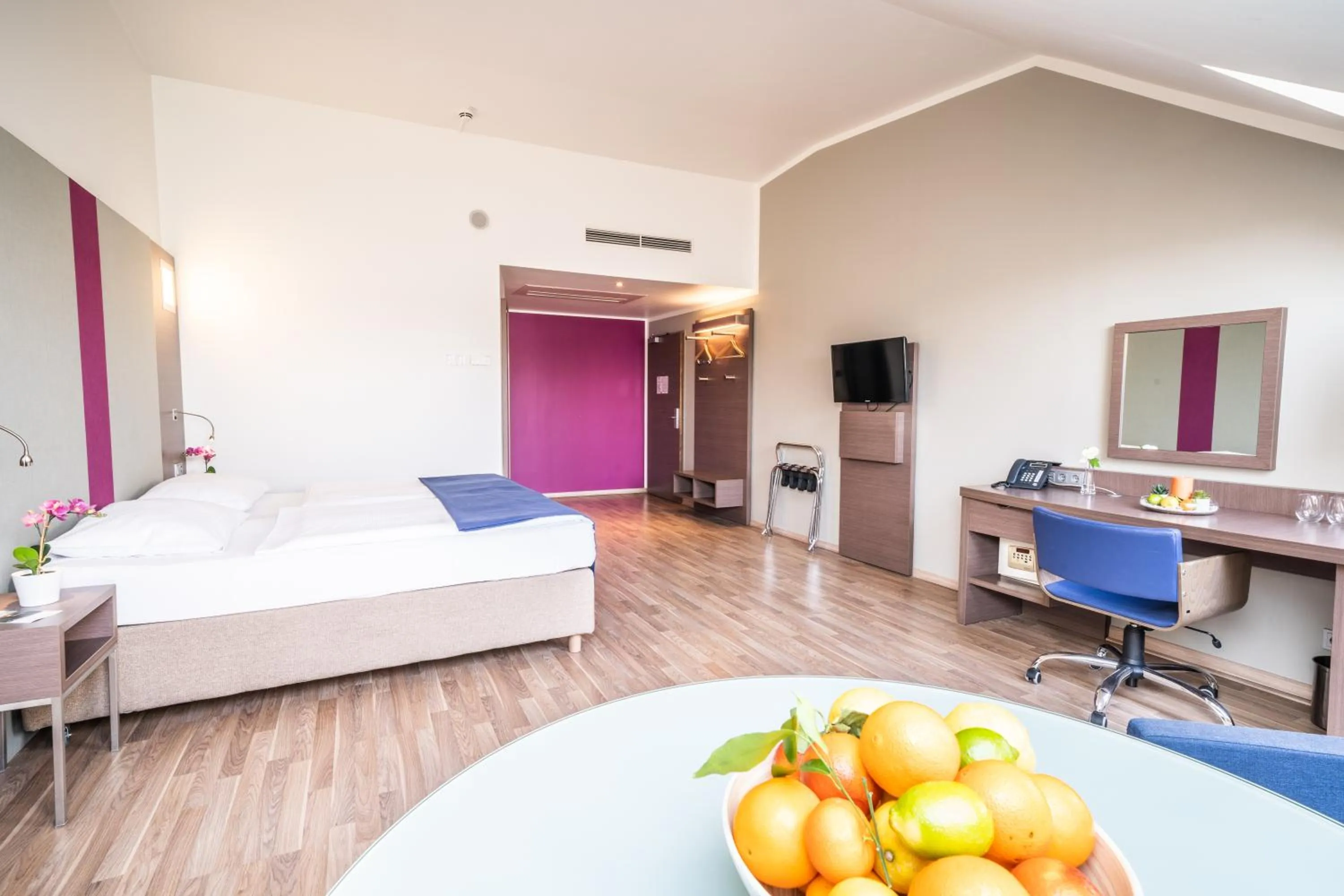 Pets, Bed in Hotel Orangerie