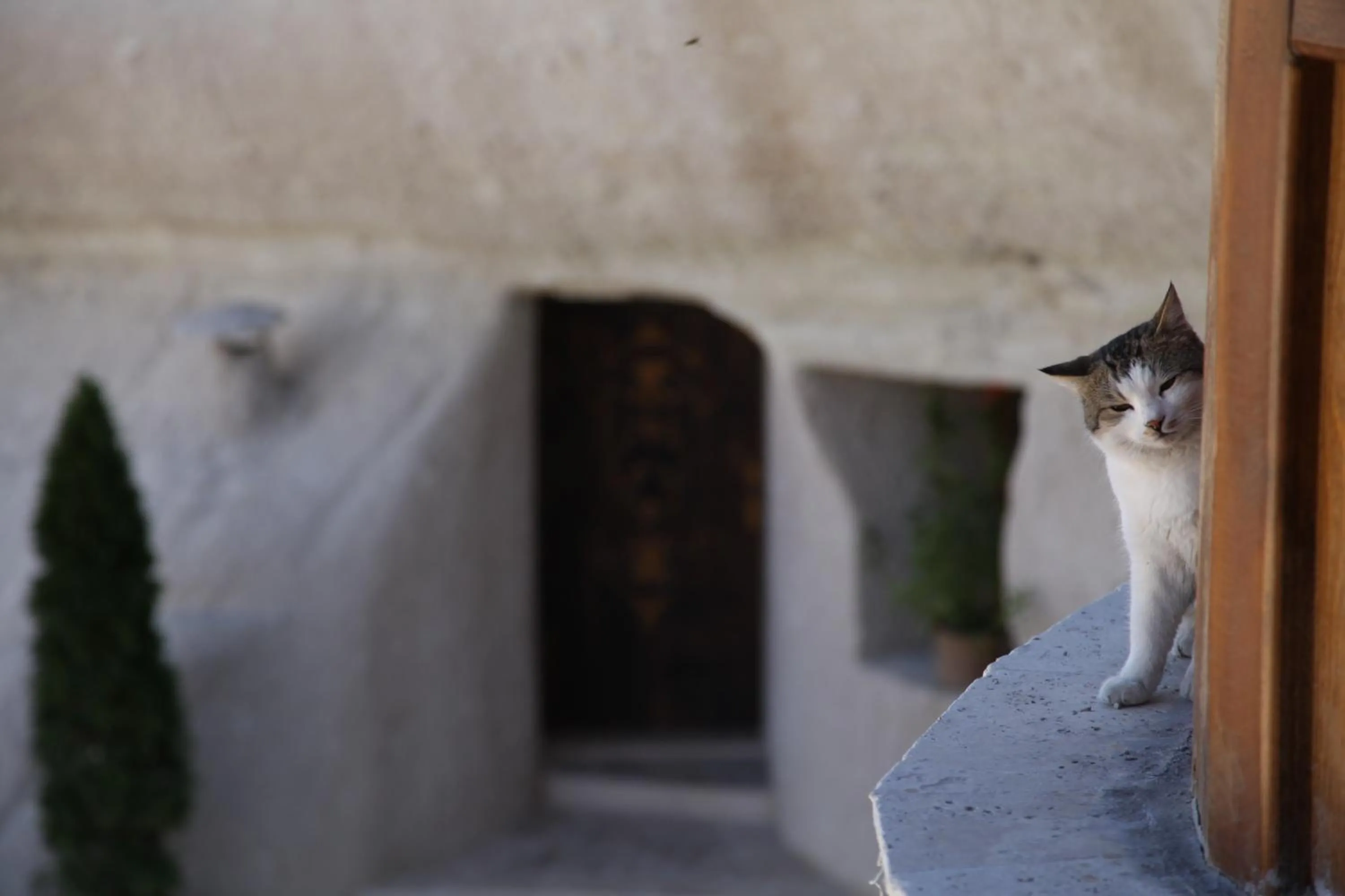 Other in Grand Cave Suites