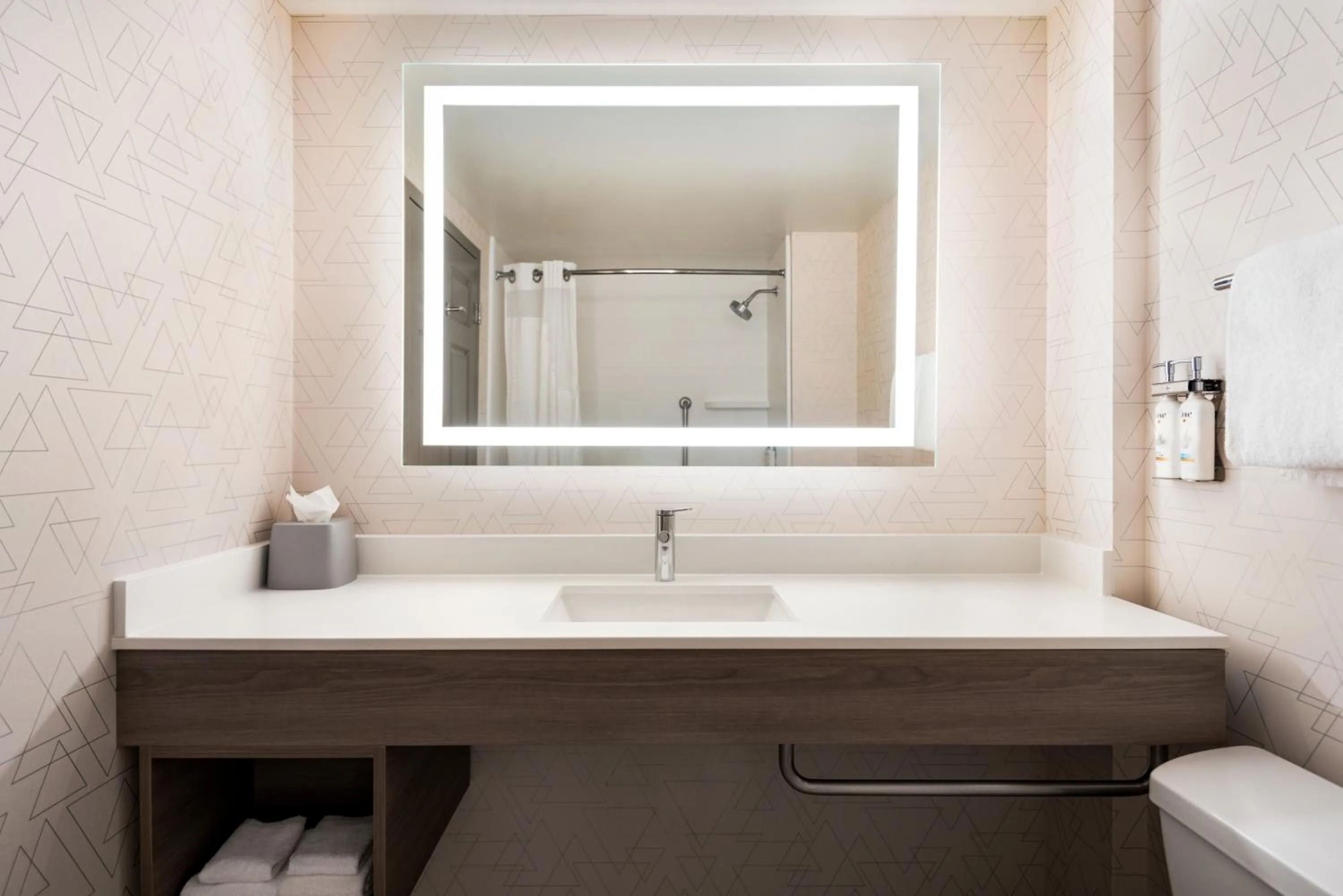 Holiday Inn Express & Suites Mobile West I-10 by IHG