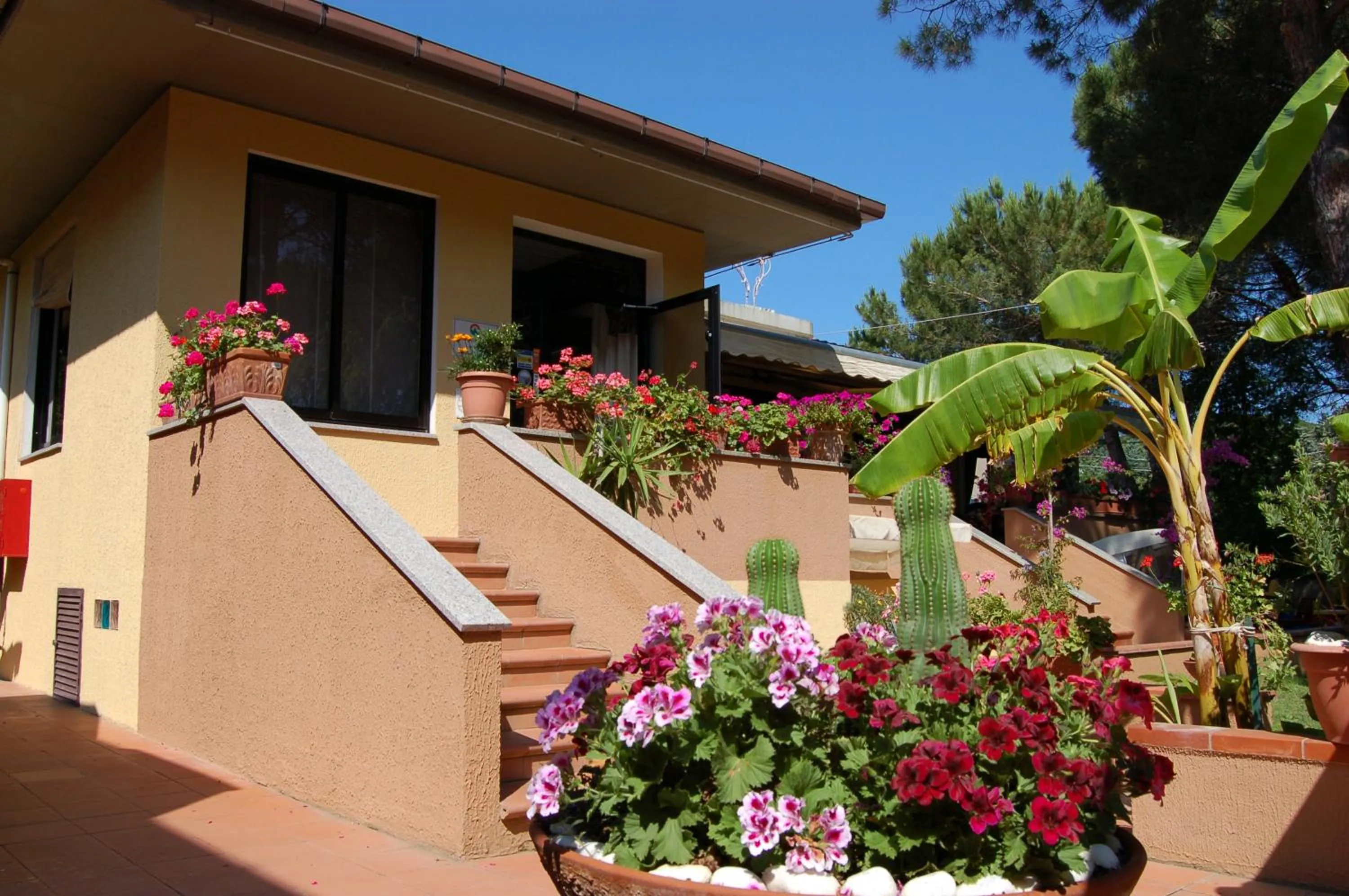 Property building in Hotel Anfora