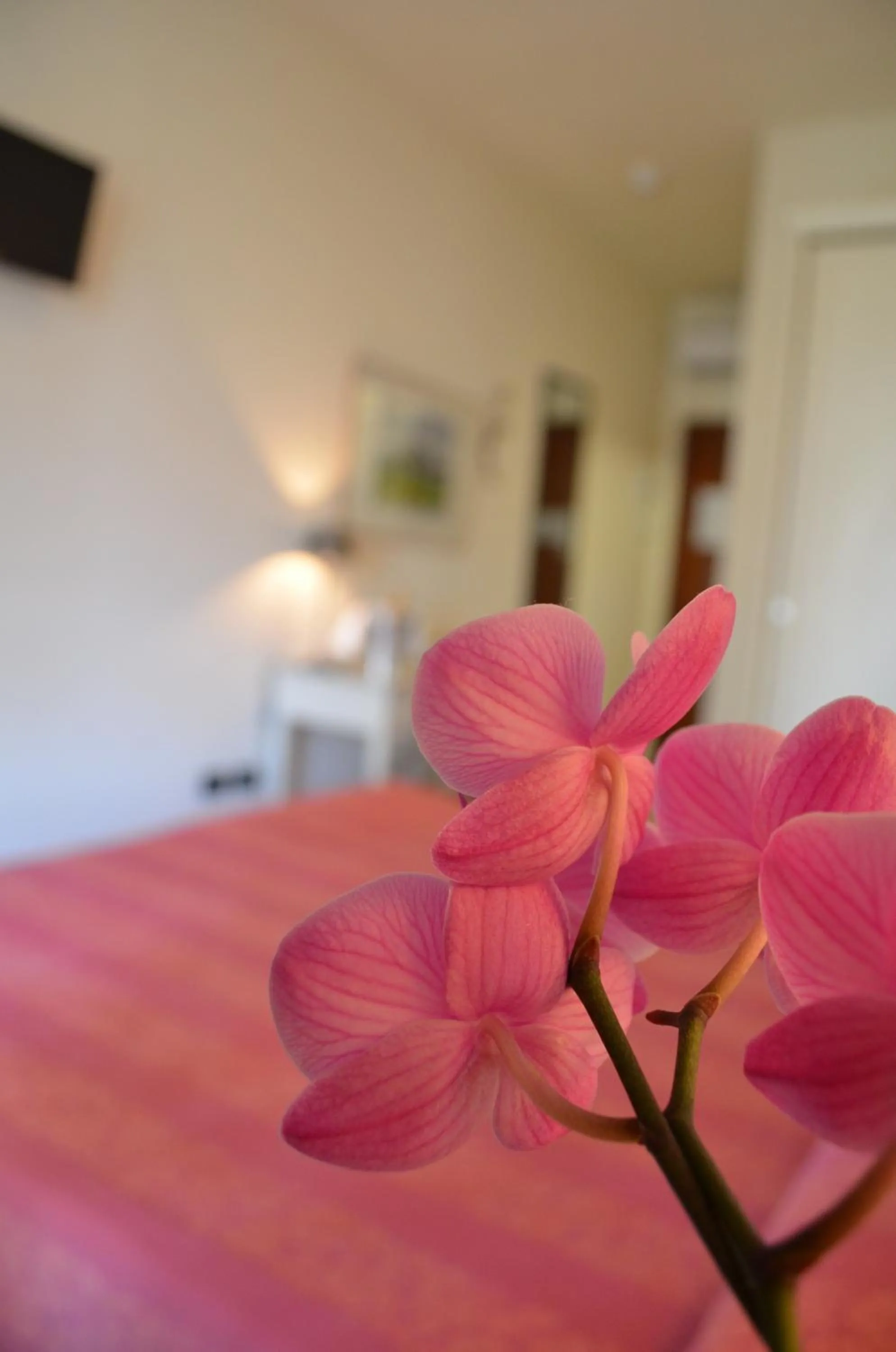 Bedroom, Bed in Family Hotel Relax