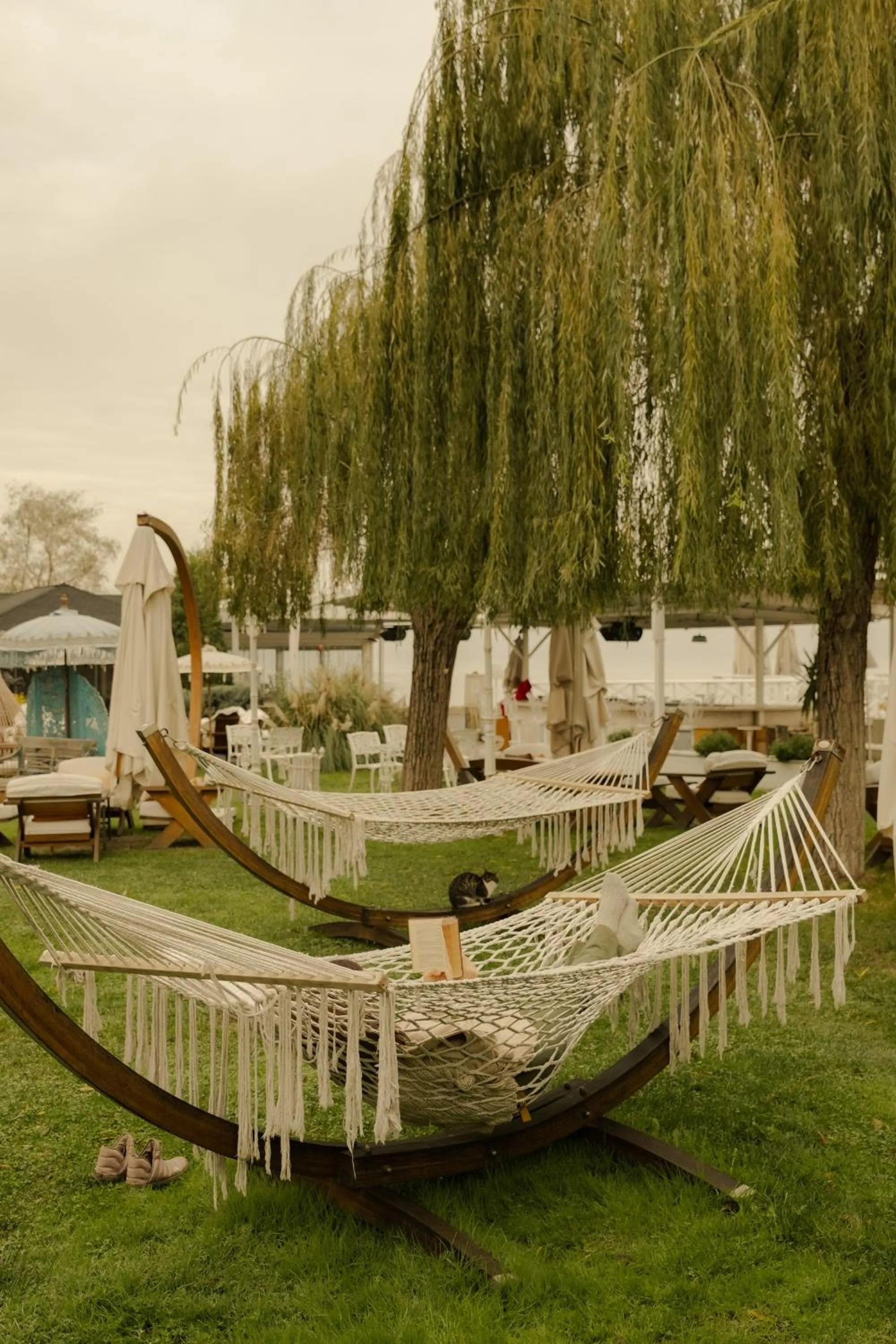 Garden view in Lale Hotel