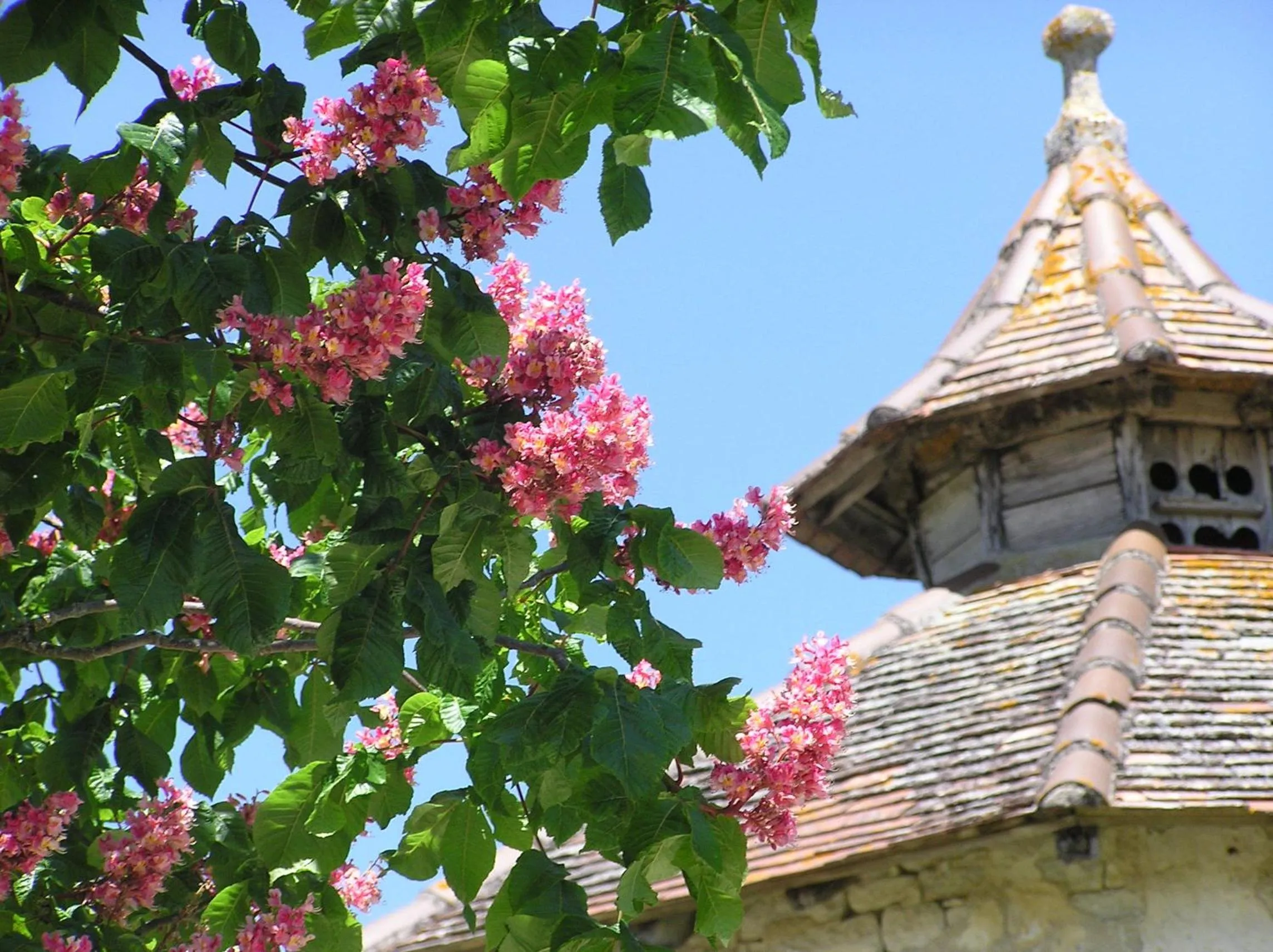 Area and facilities in Domaine de L'Isle Basse