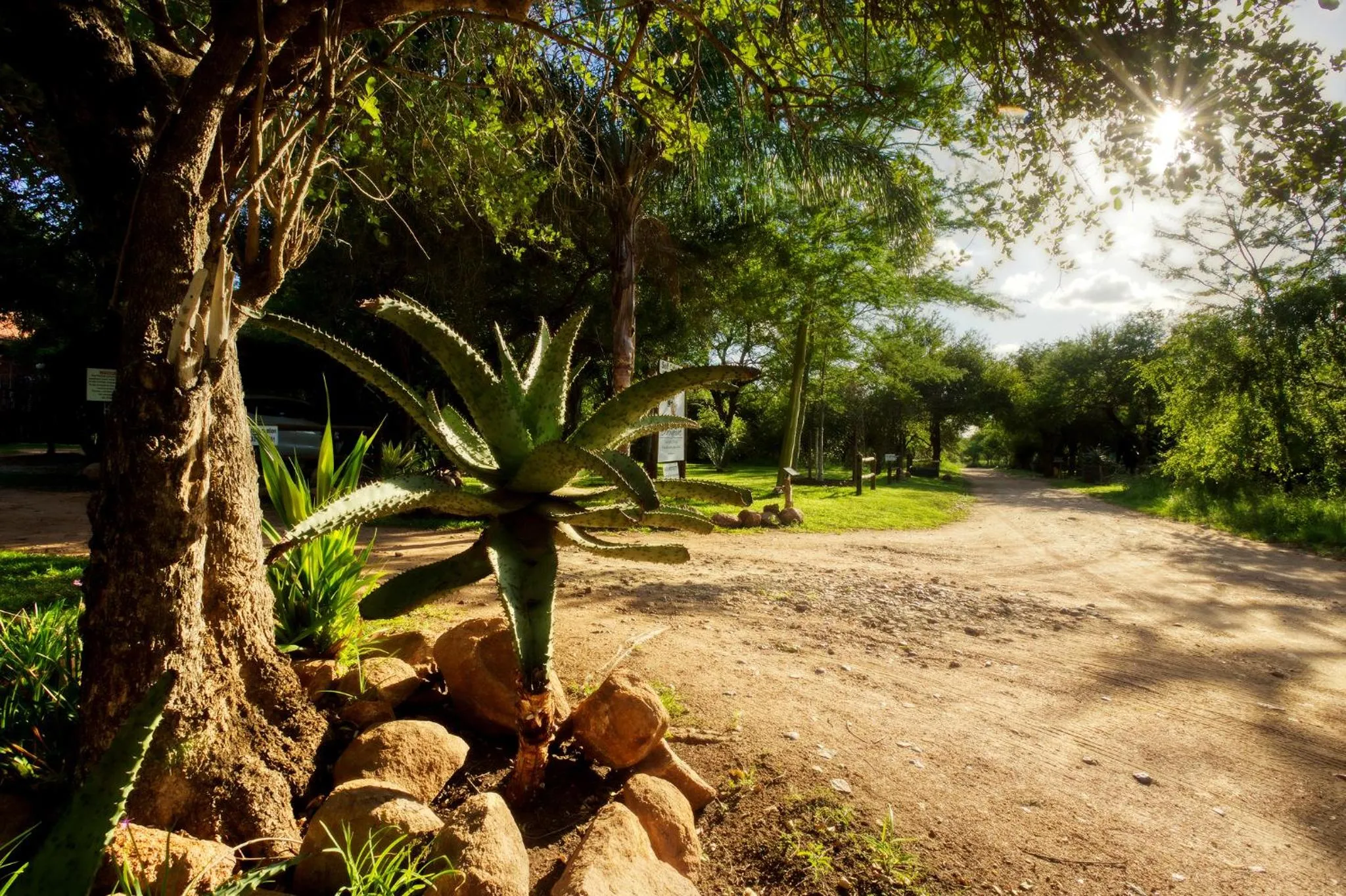 Garden in Doringpoort Lodge