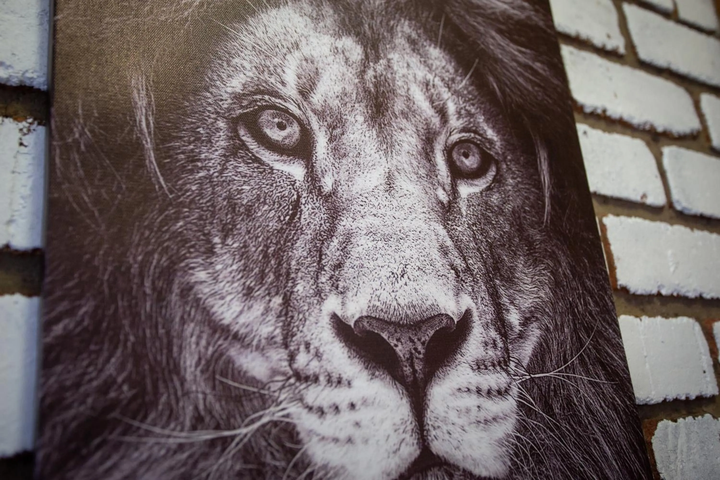 Bathroom in Doringpoort Lodge