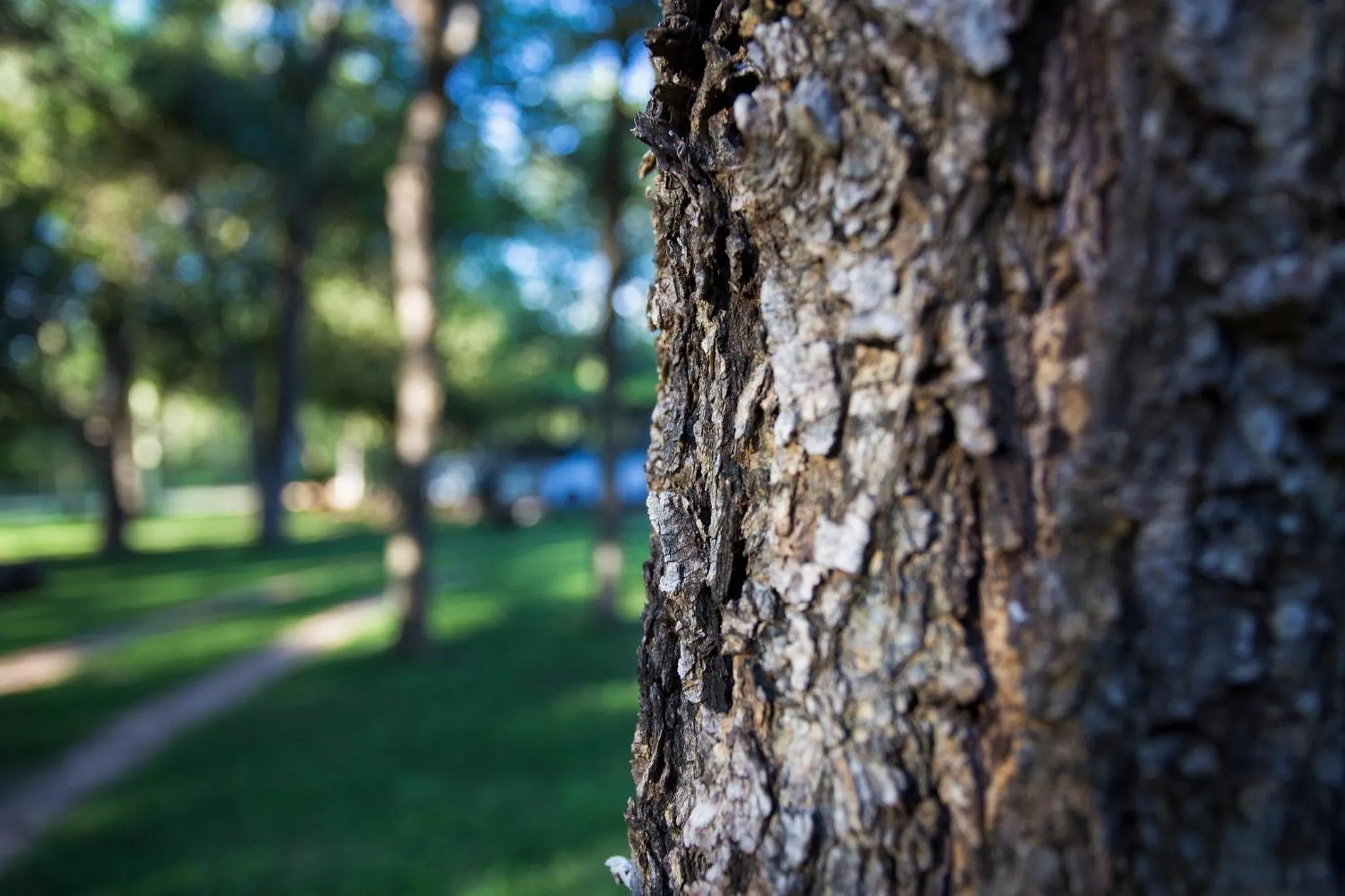 Garden in Doringpoort Lodge