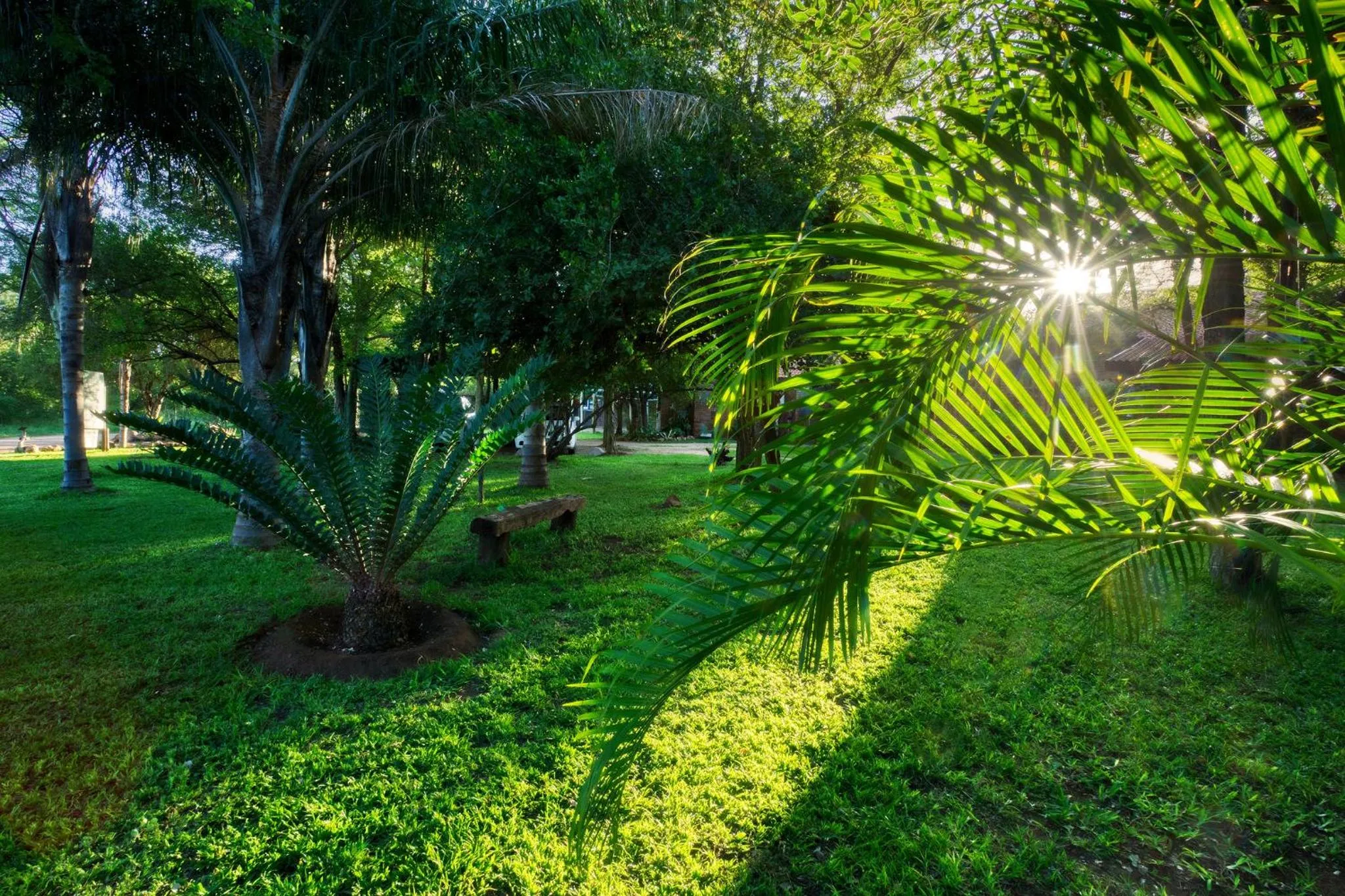 Garden in Doringpoort Lodge