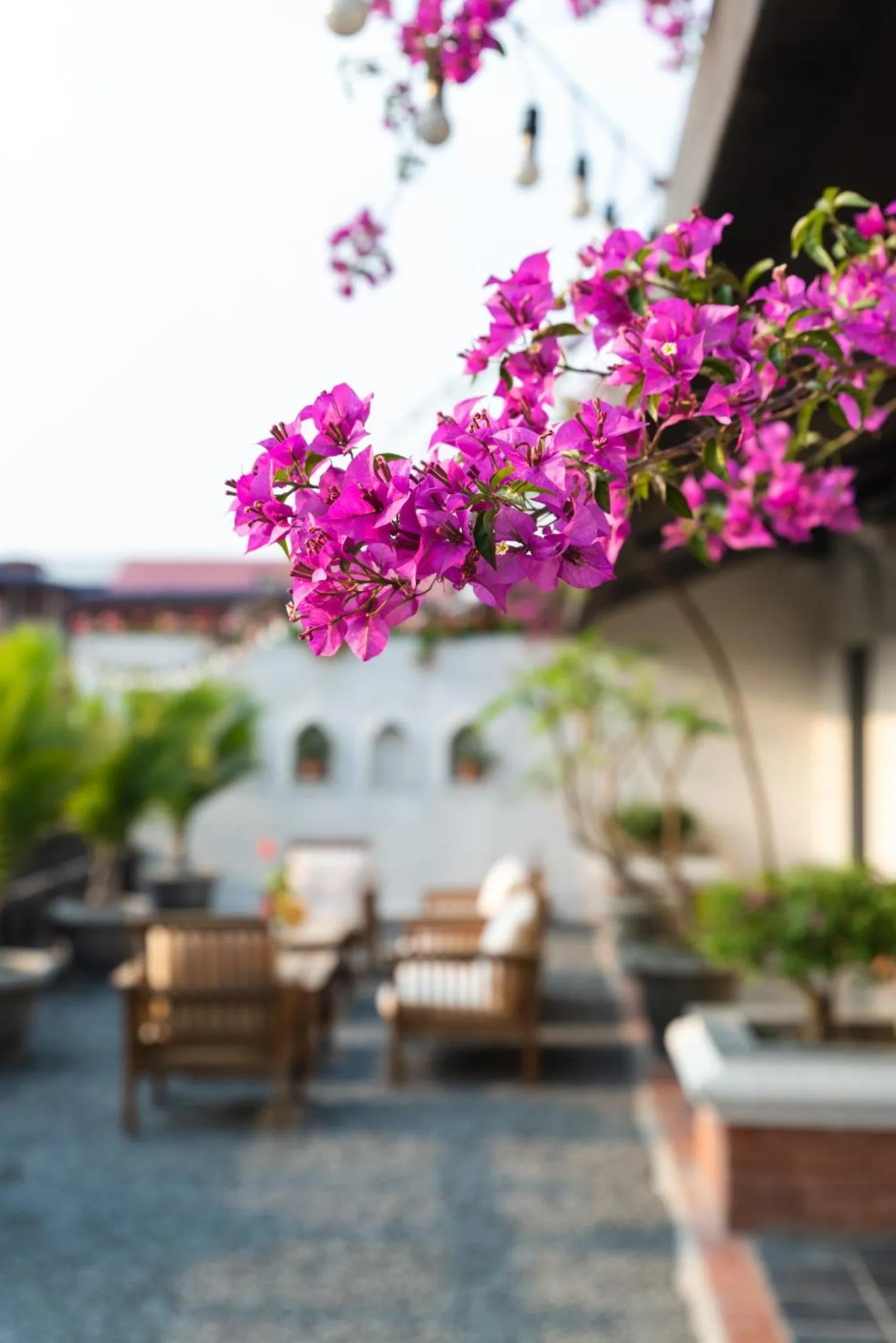 Balcony/Terrace in Hotel Roadhouse, Thamel, Kathmandu- Contemporary Boutique