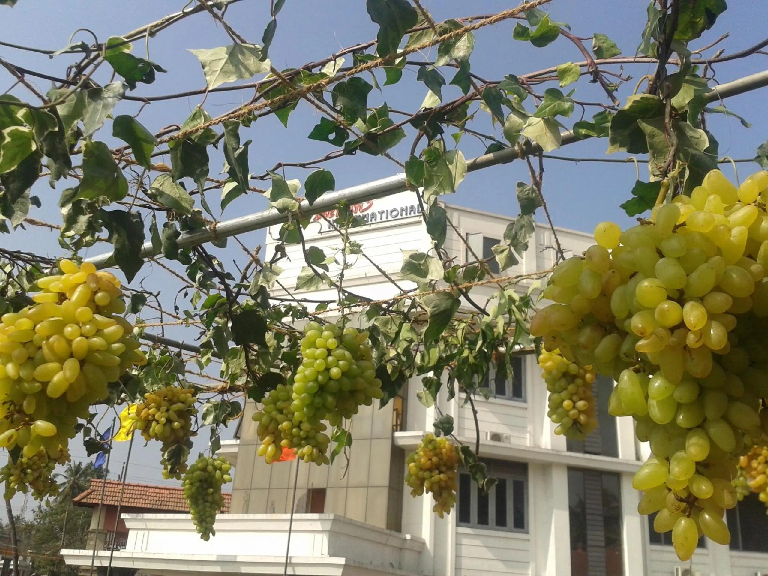 View (from property/room) in Hotel Merlin International