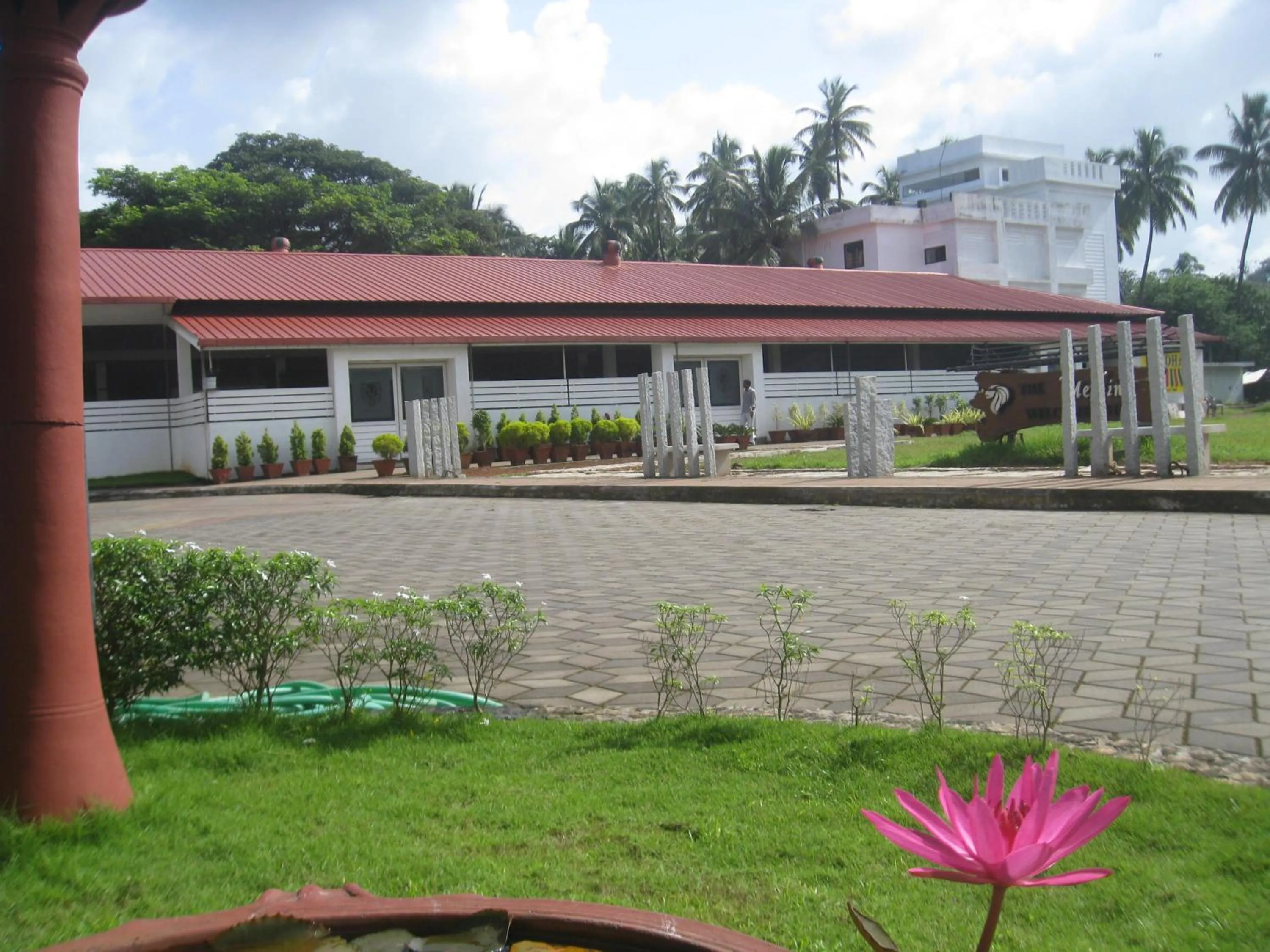 Garden in Hotel Merlin International