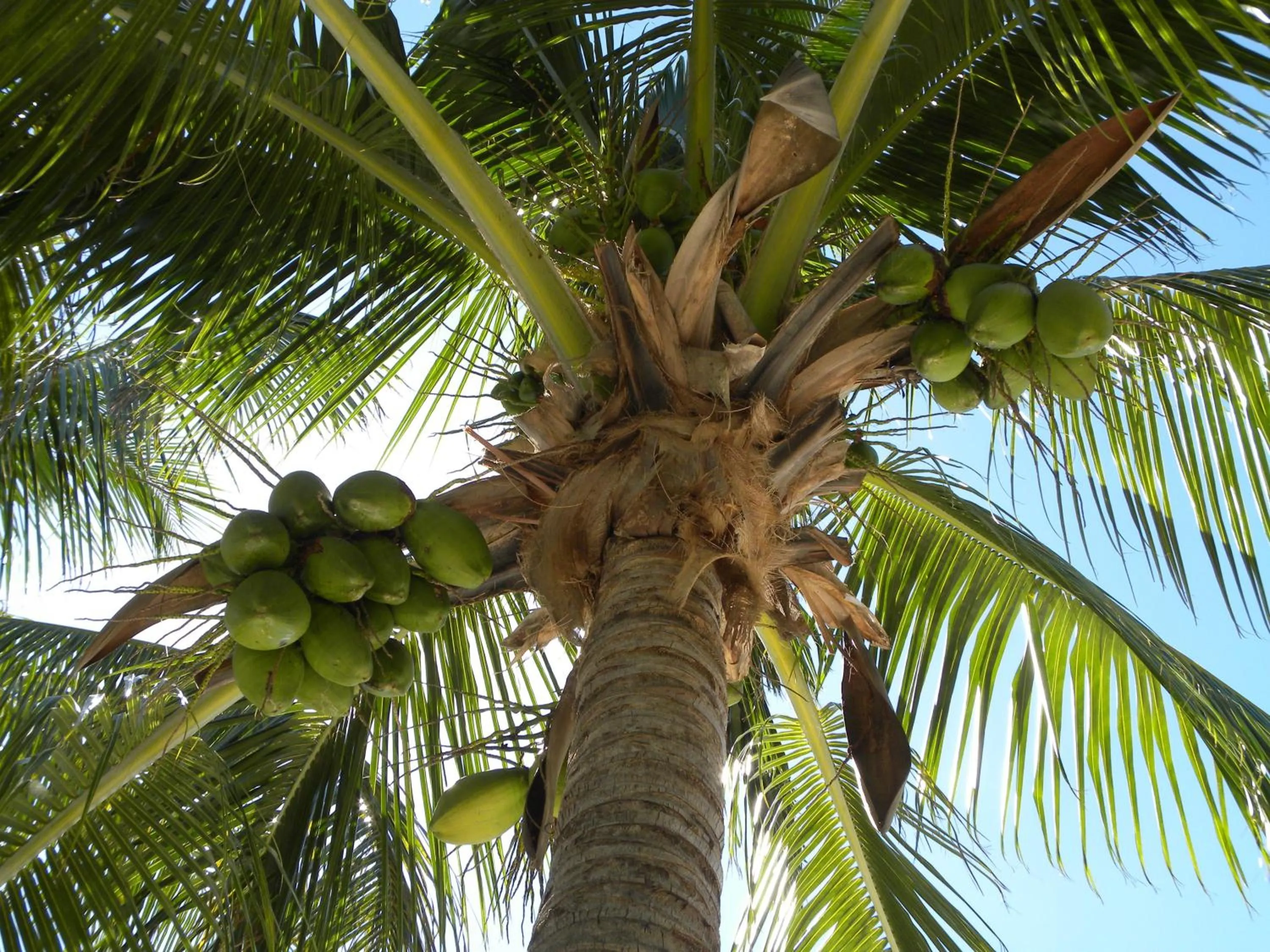 Other in Rock Reef Resort