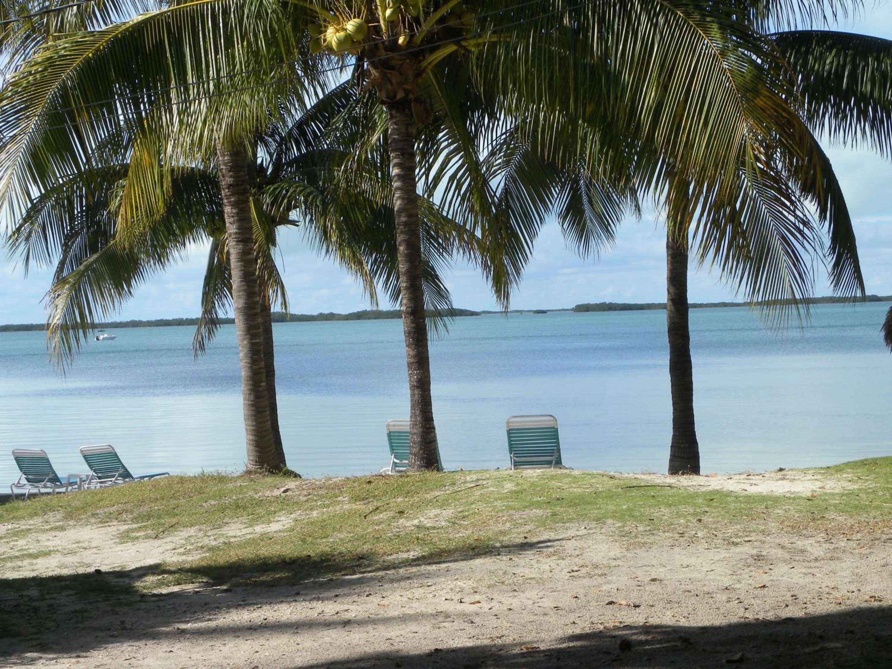 Sea view in Rock Reef Resort
