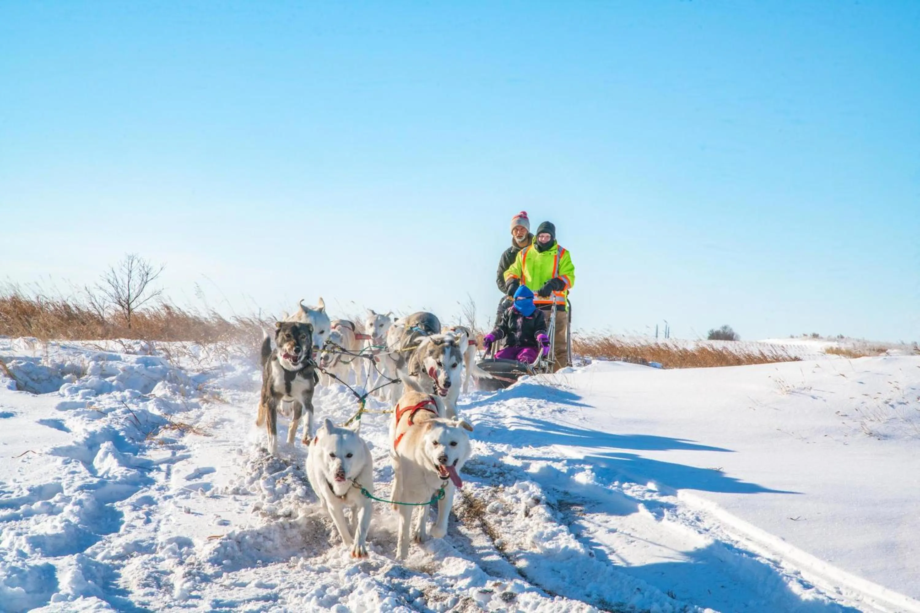 Other in Holiday Inn Saskatoon Downtown by IHG
