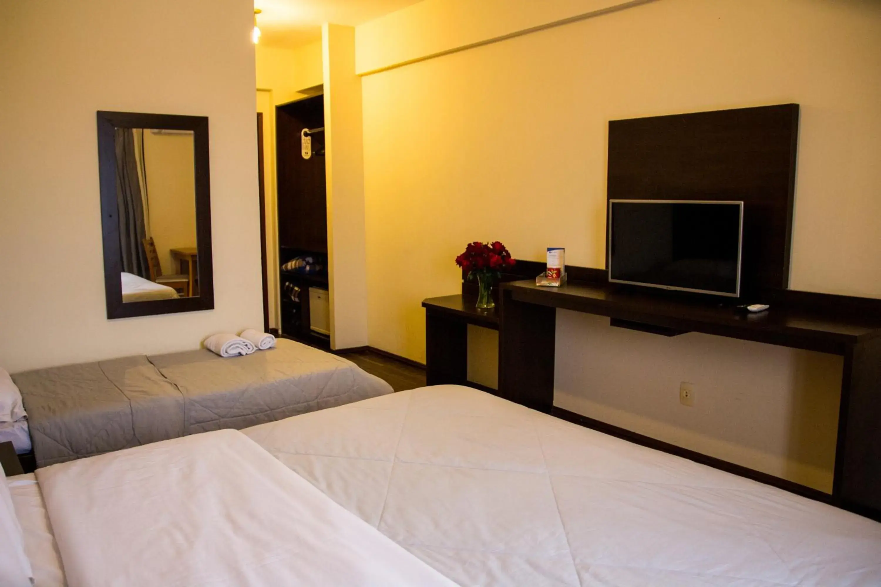 Double Room - single occupancy in Hotel Brisa Rio Double Room - single occupancy in Hotel Brisa Rio