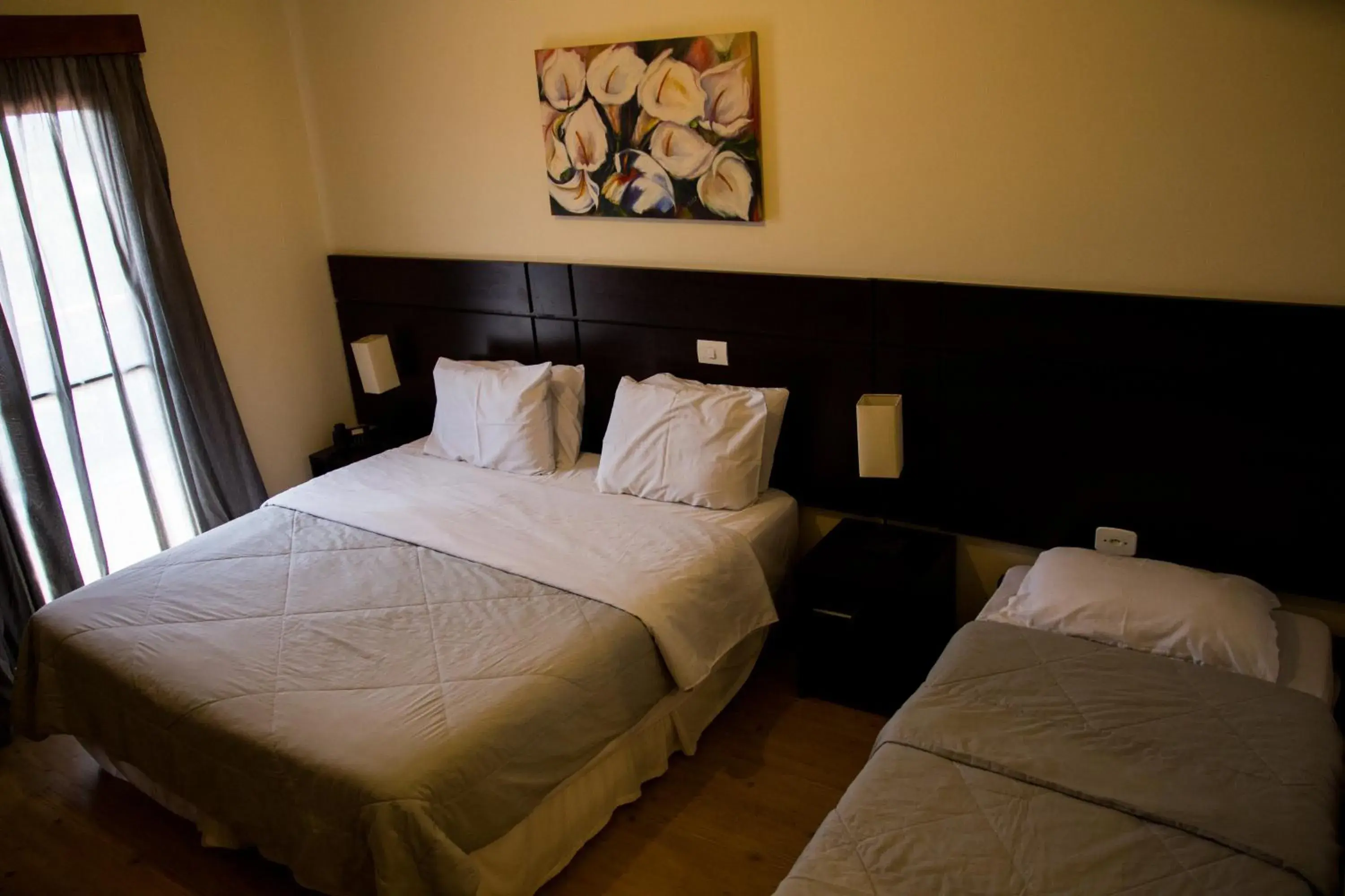 Triple Room - single occupancy in Hotel Brisa Rio Triple Room - single occupancy in Hotel Brisa Rio