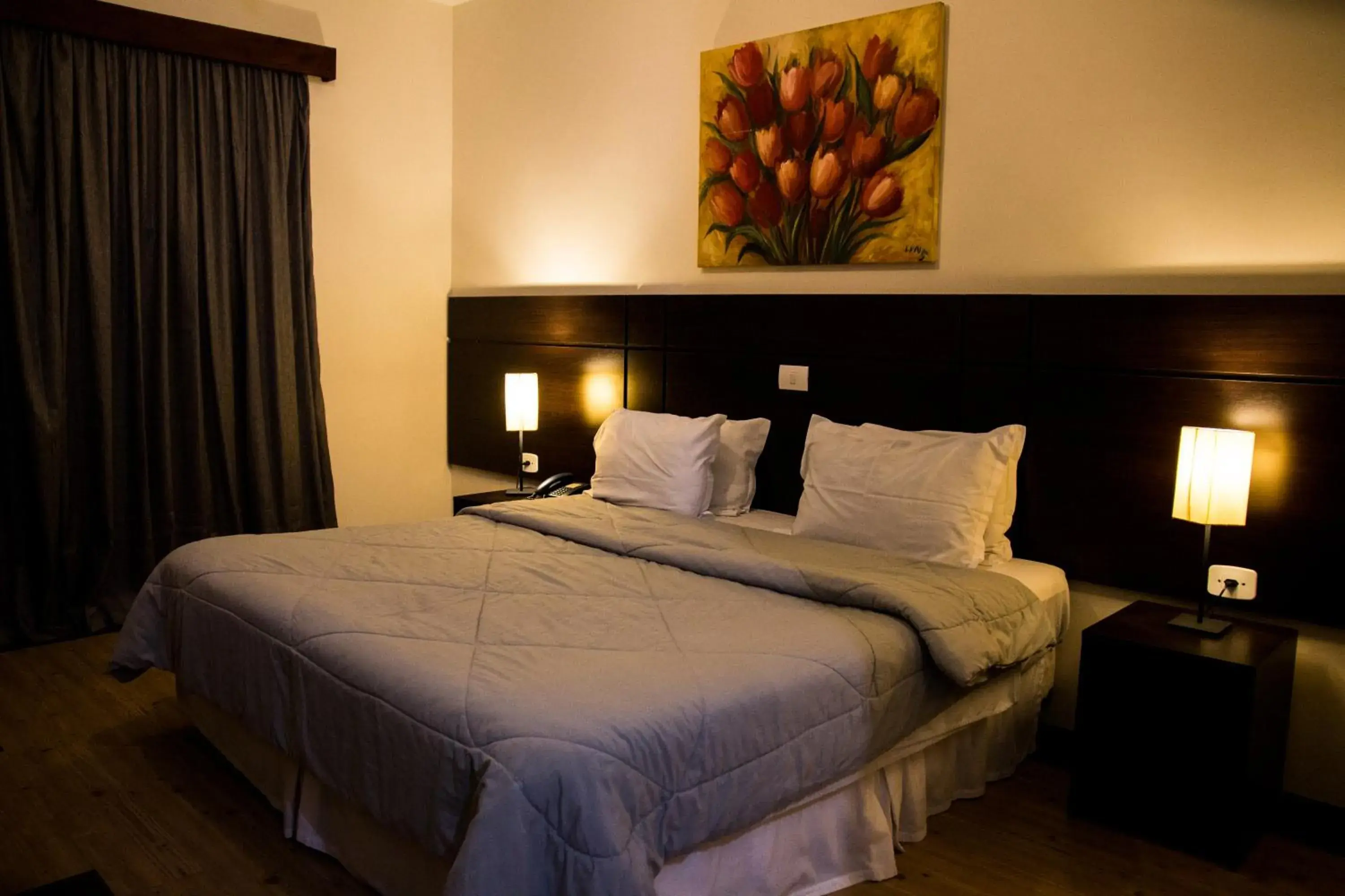 Double Room - single occupancy in Hotel Brisa Rio Double Room - single occupancy in Hotel Brisa Rio