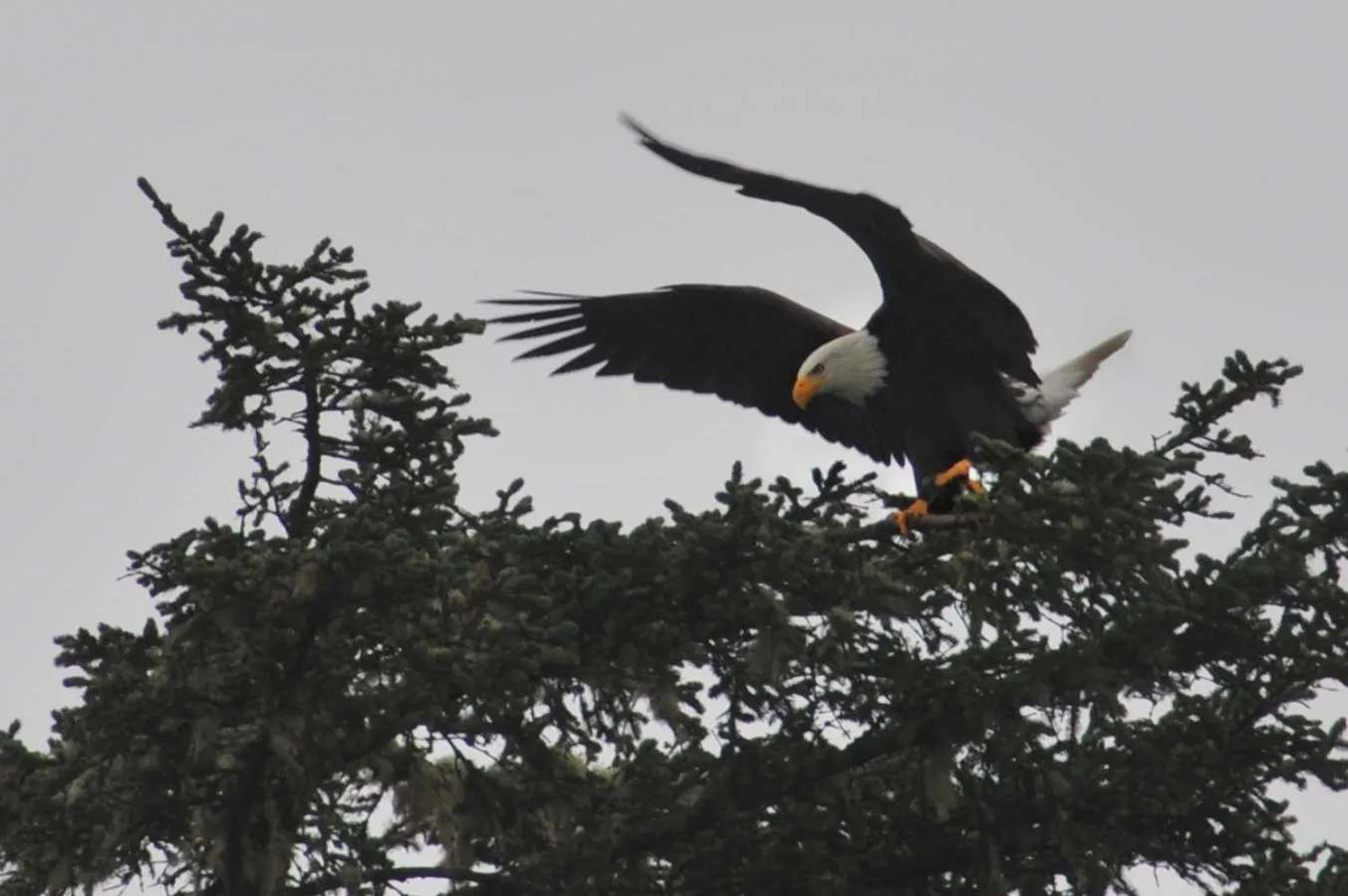Area and facilities in Black Rock Oceanfront Resort