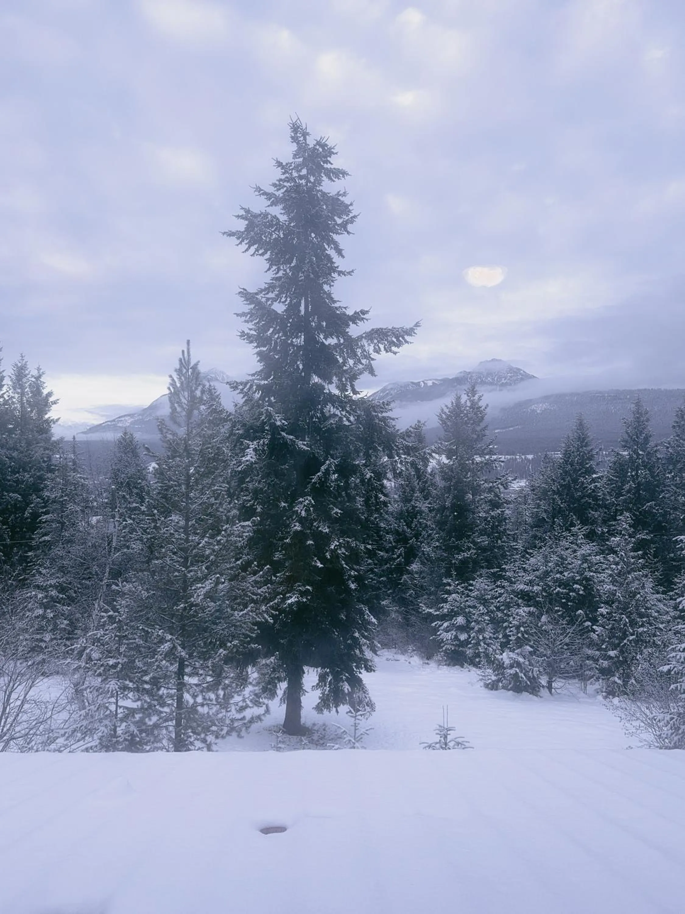 View (from property/room) in Alpine Meadows Lodge