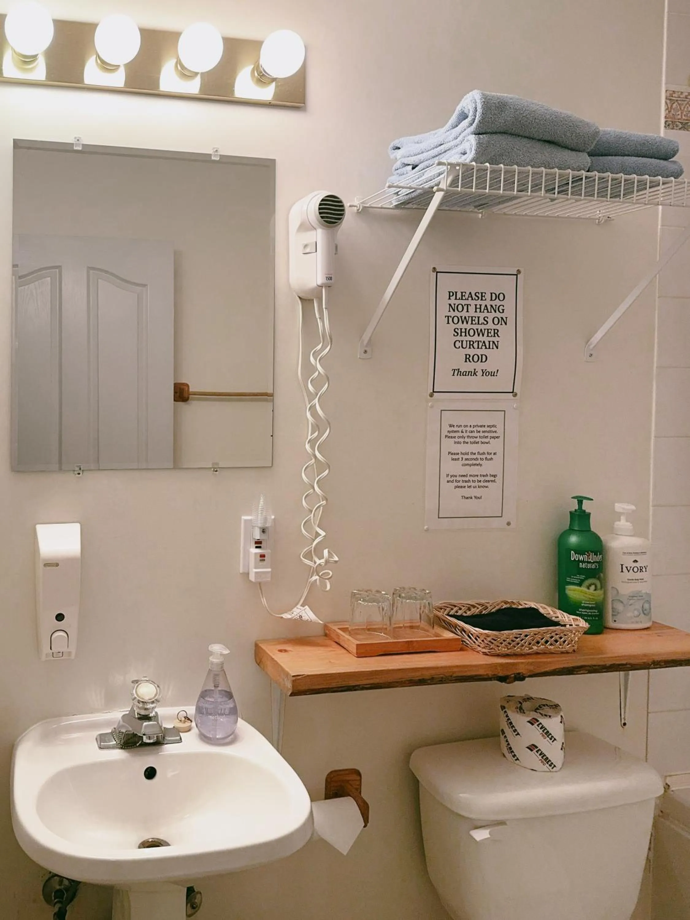 Toilet in Alpine Meadows Lodge