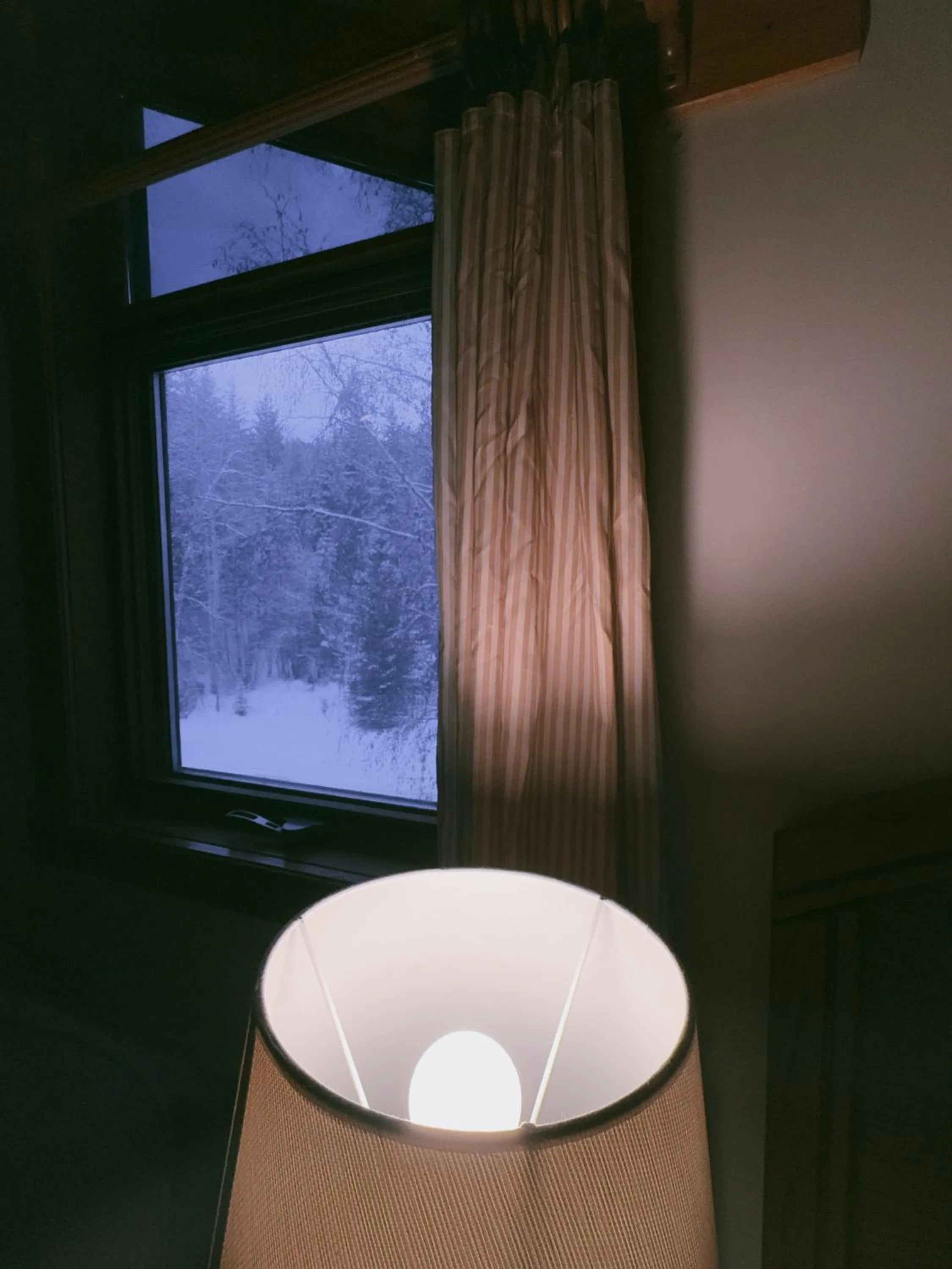 Night in Alpine Meadows Lodge