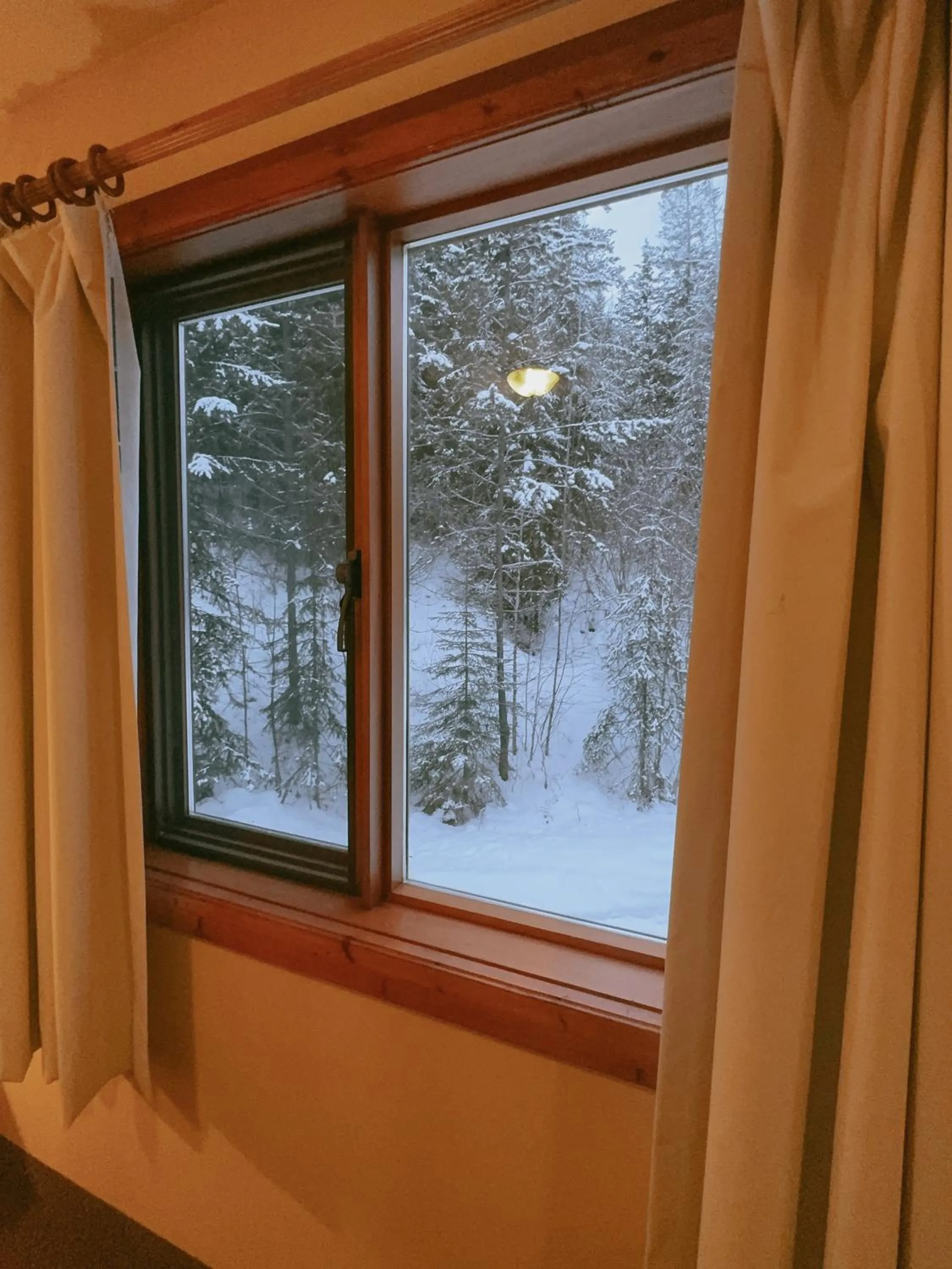 Winter in Alpine Meadows Lodge