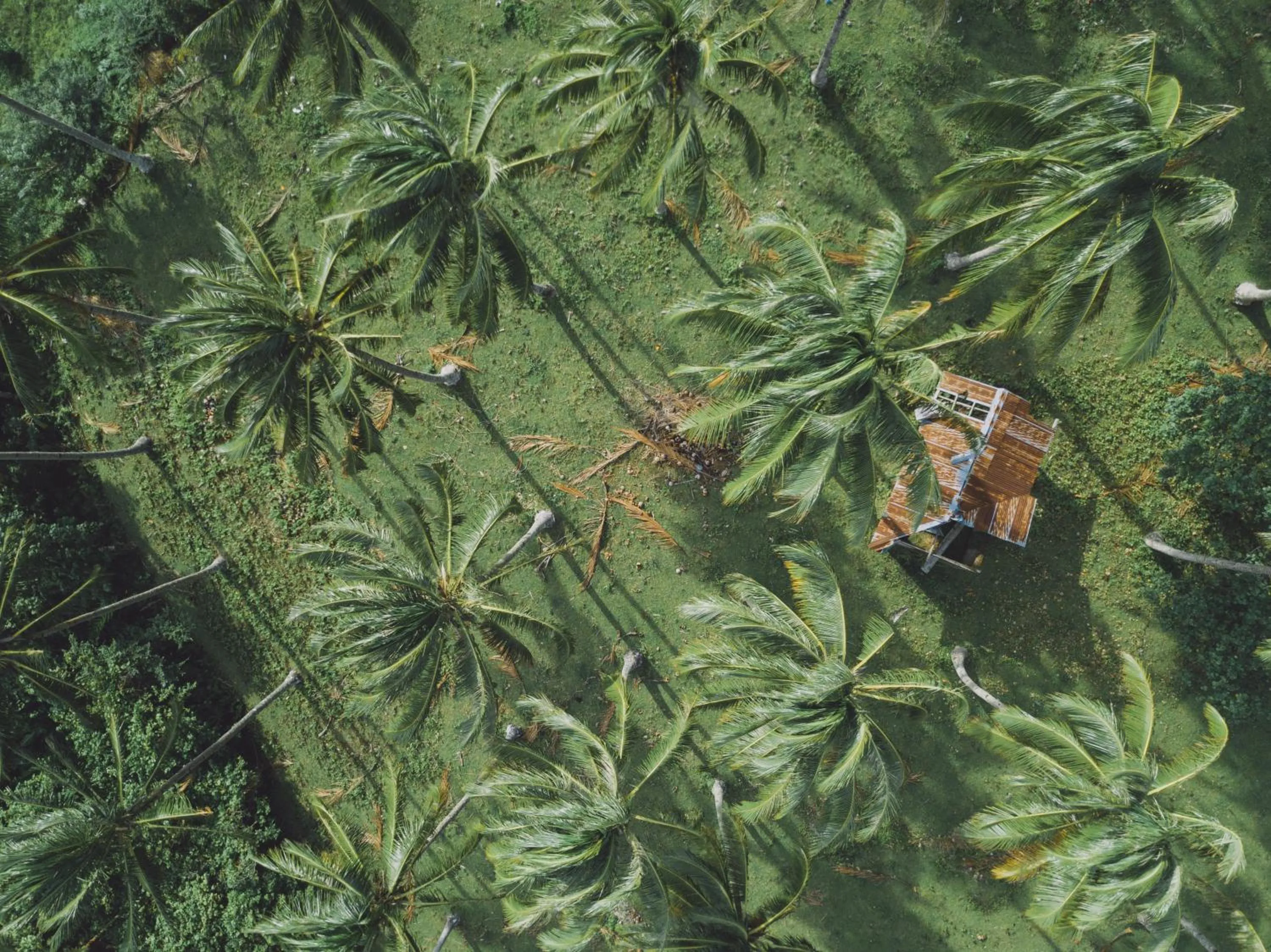 View (from property/room) in Bintana sa Paraiso Binunsaran