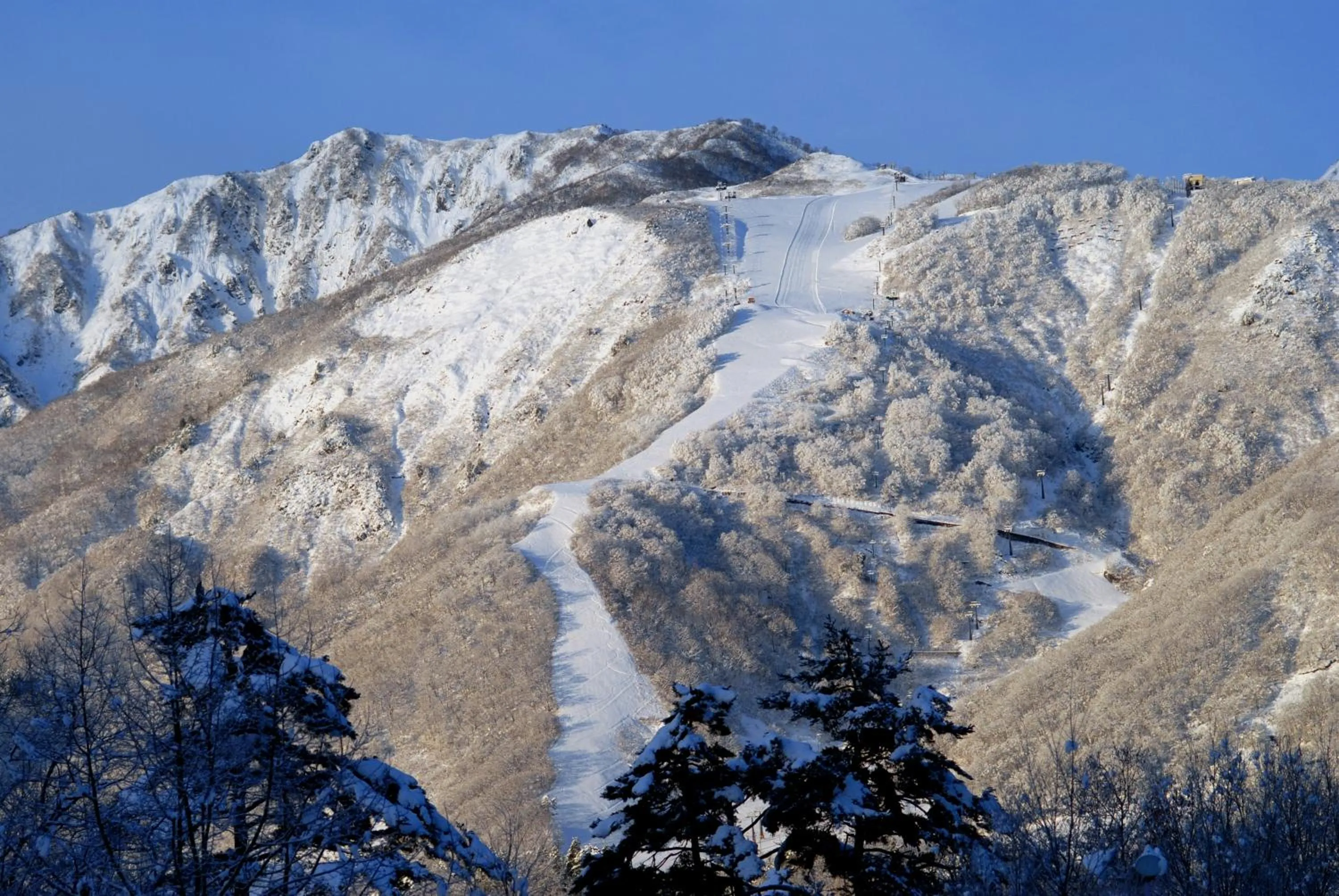 Natural landscape in Bears Den Mountain Lodge