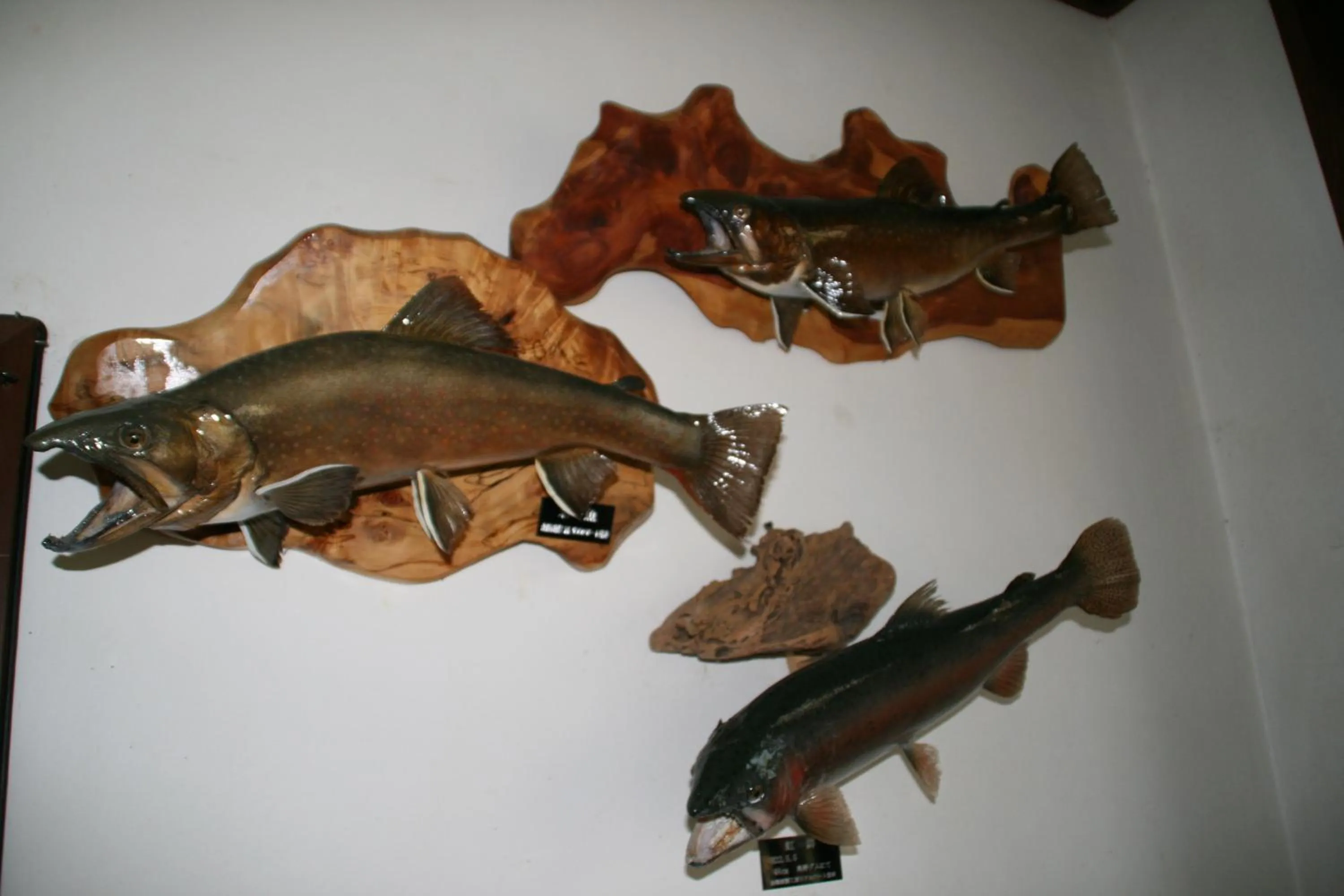 Property logo or sign in Pension Totem Pole