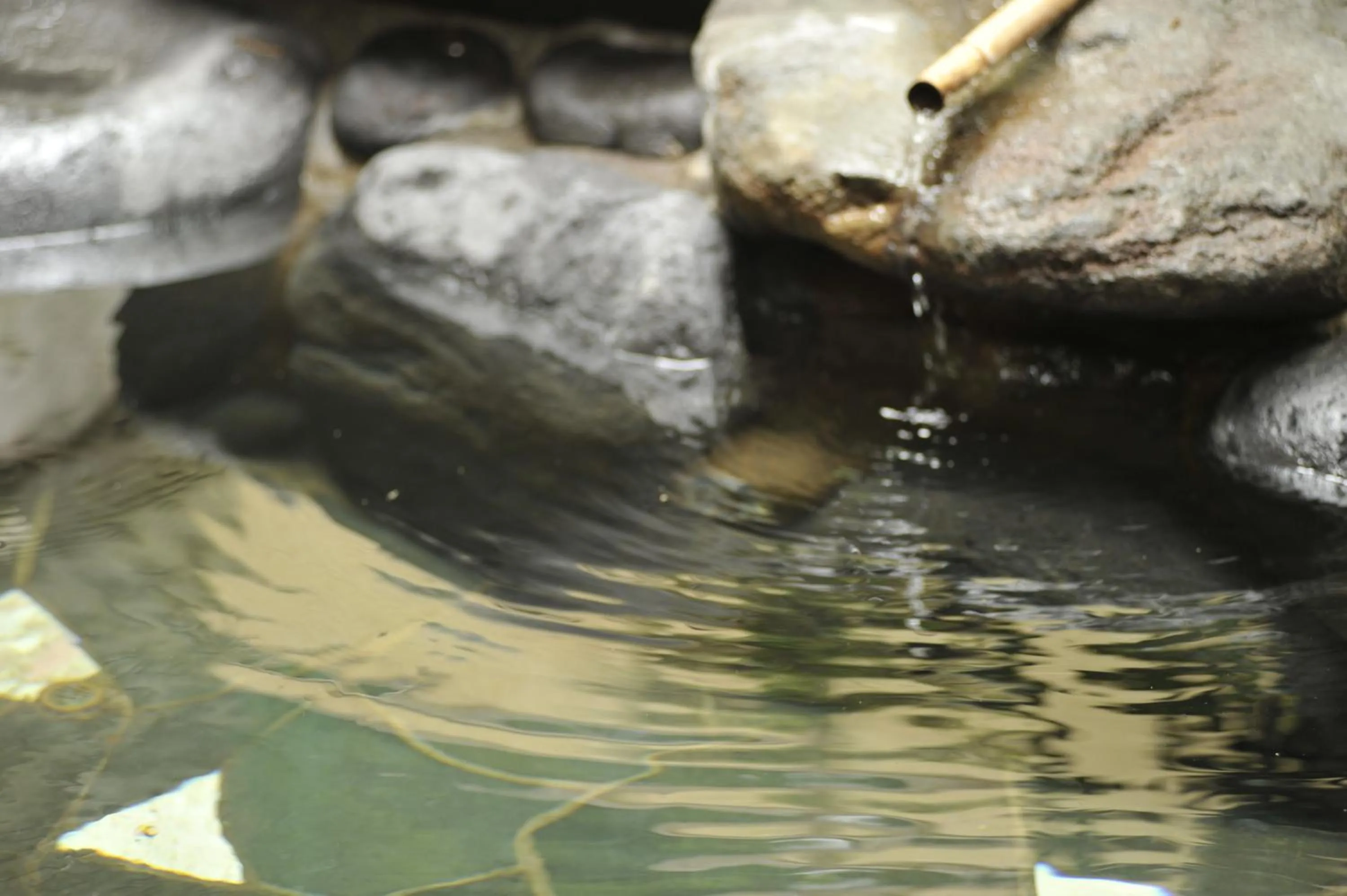 Hot Spring Bath in Pension Totem Pole
