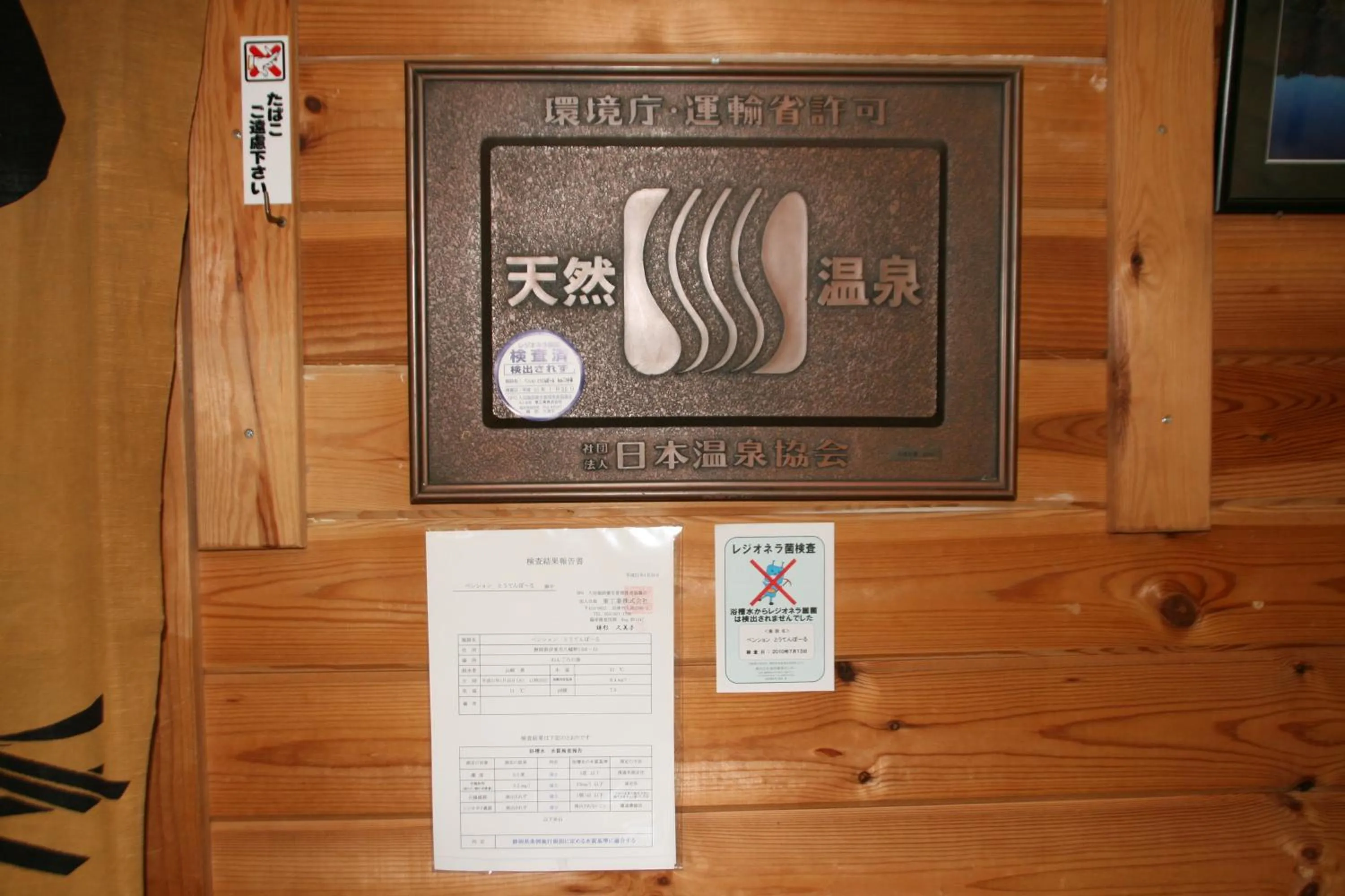 Hot Spring Bath in Pension Totem Pole