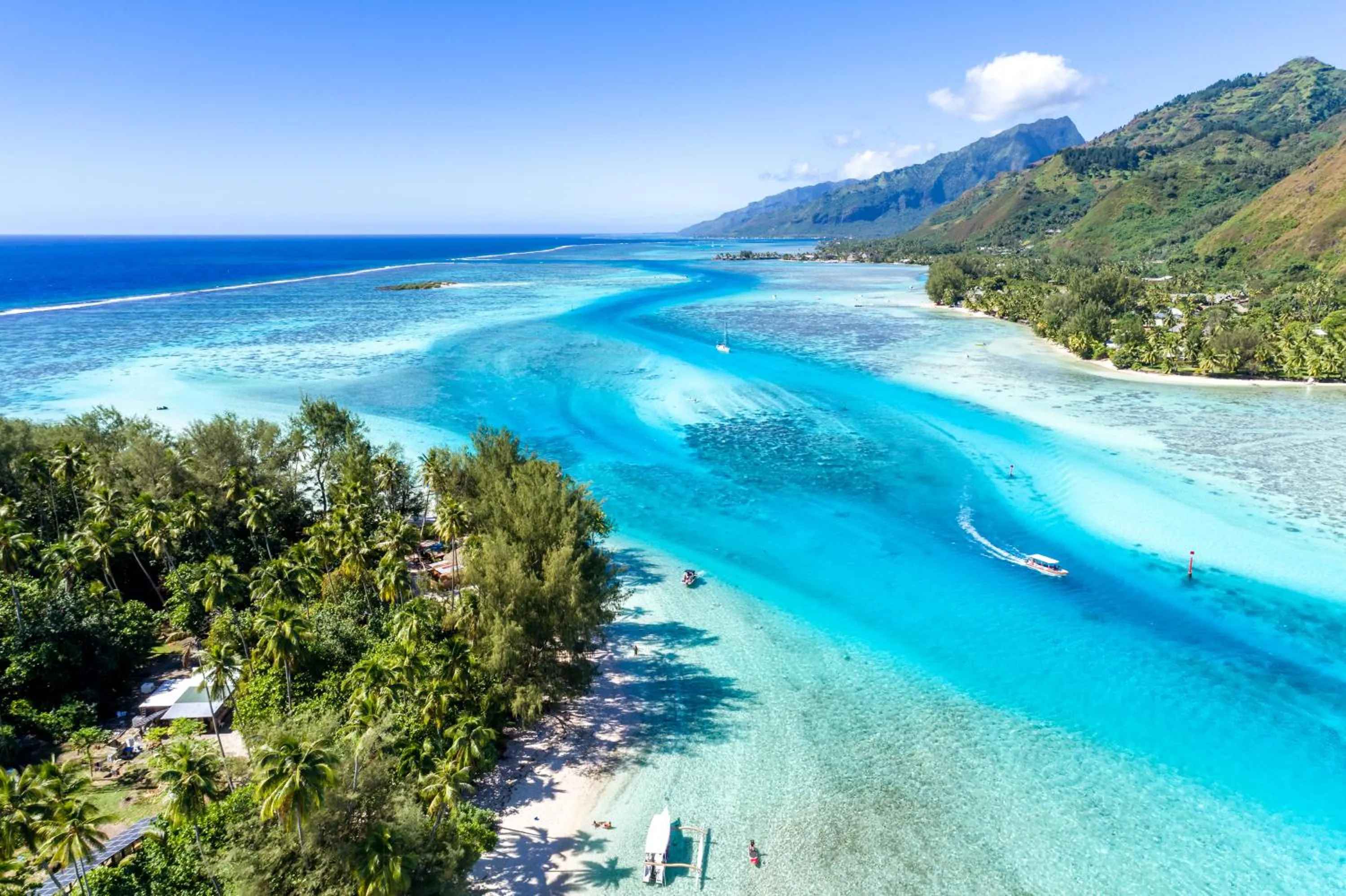 Snorkeling in Robinson's Cove Villas