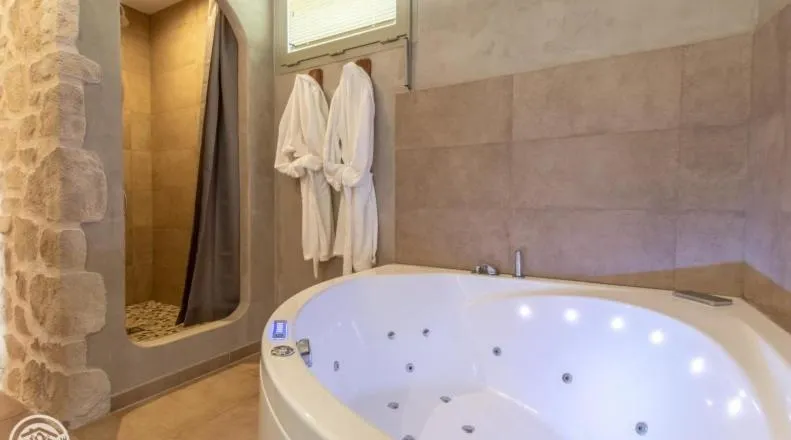 Shower in Le Paon Bleu Annecy Poisy