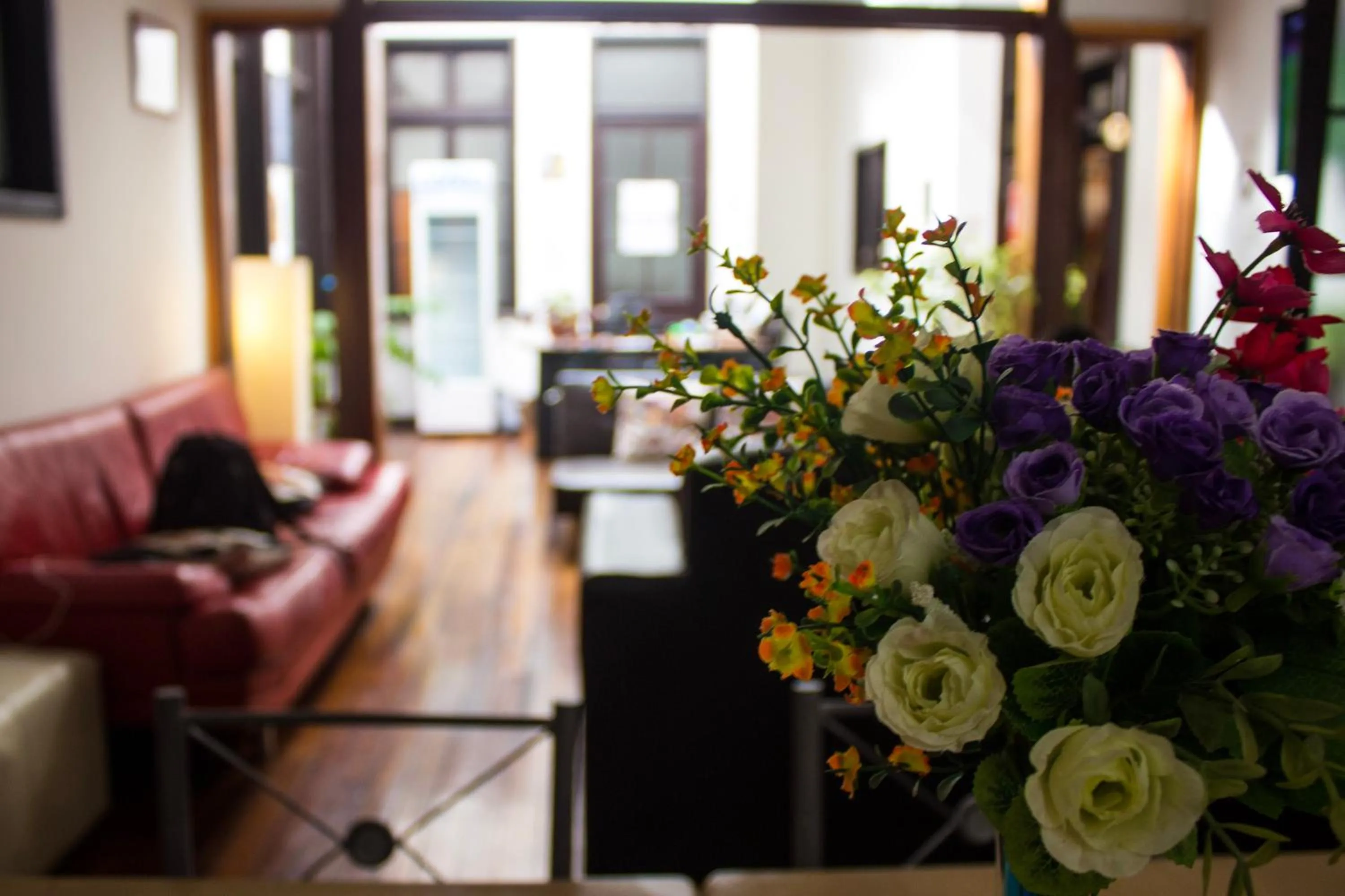 Living room in Volta Inn Hostel