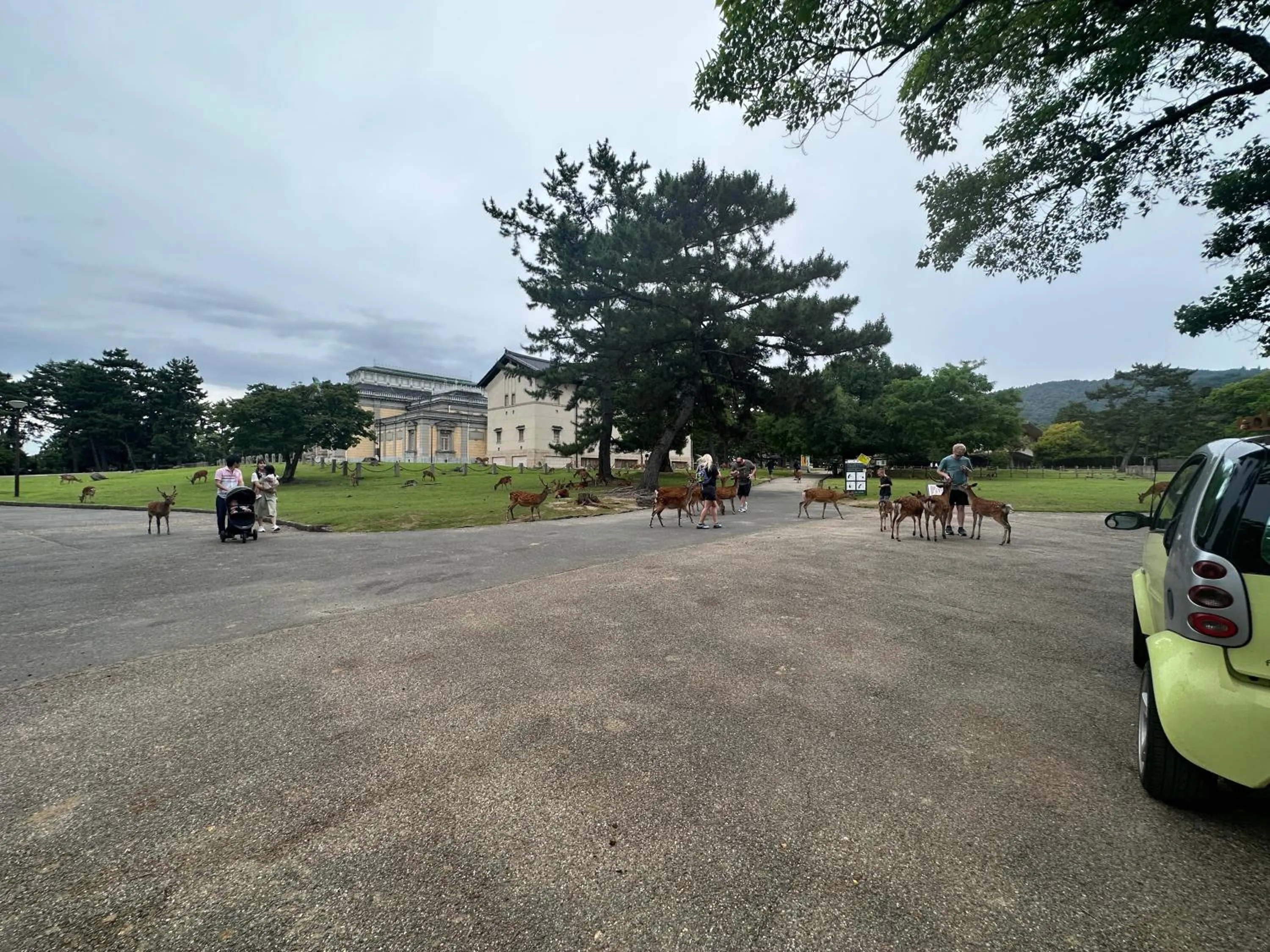 Natural landscape in Ryokan Kousen Kazeya Group
