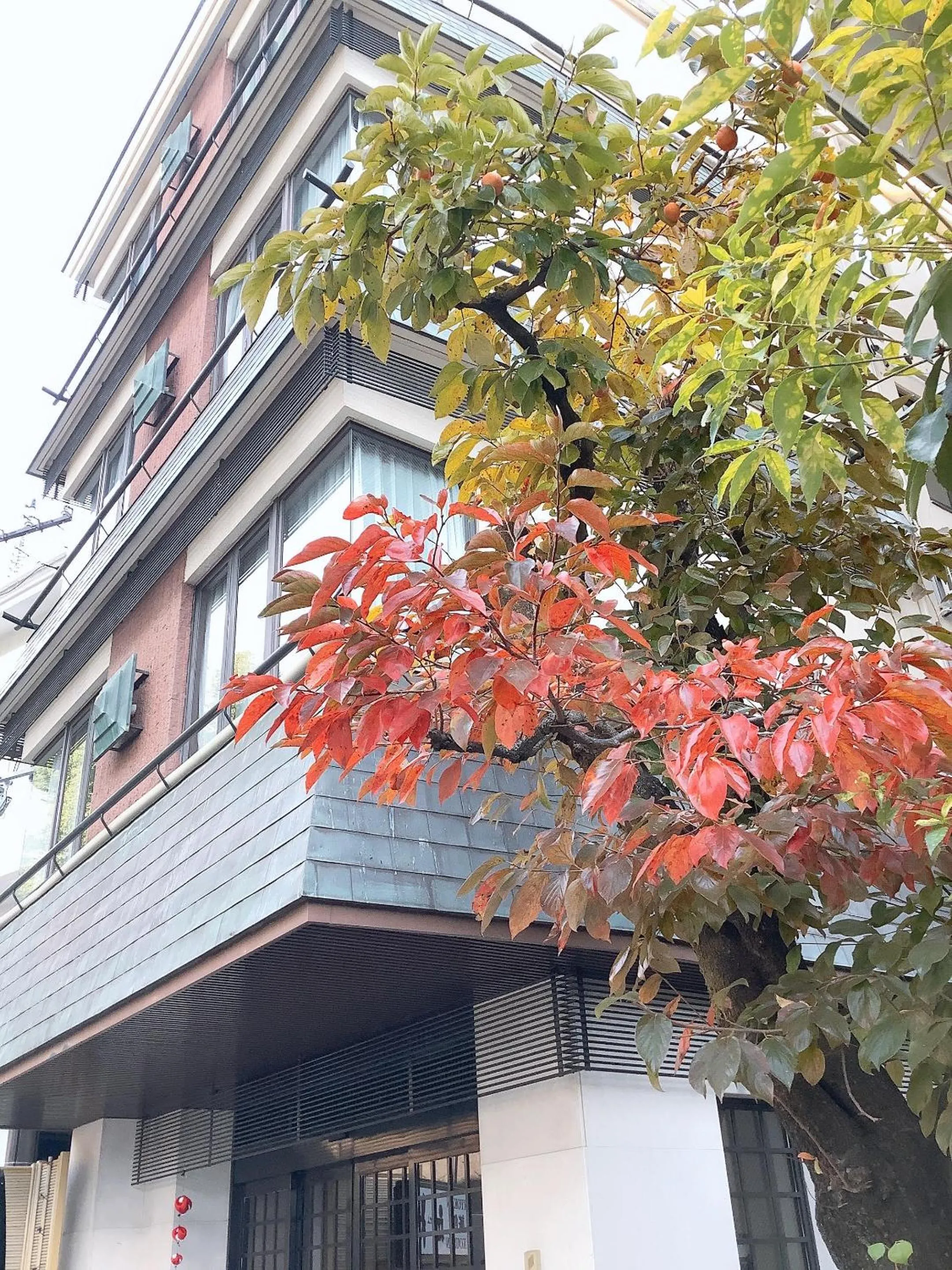 Property building in Ryokan Kousen Kazeya Group