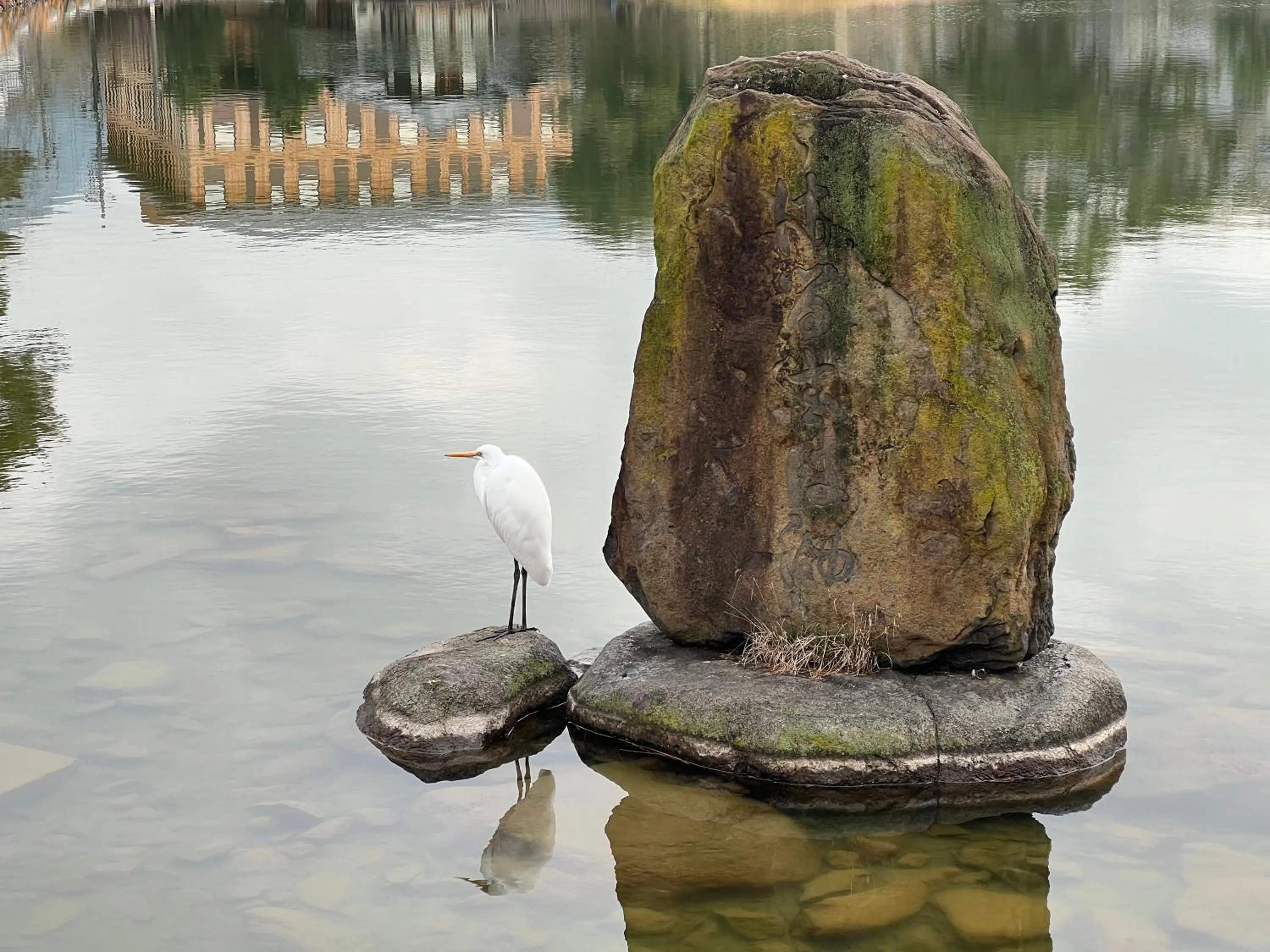 Natural landscape in Ryokan Kousen Kazeya Group