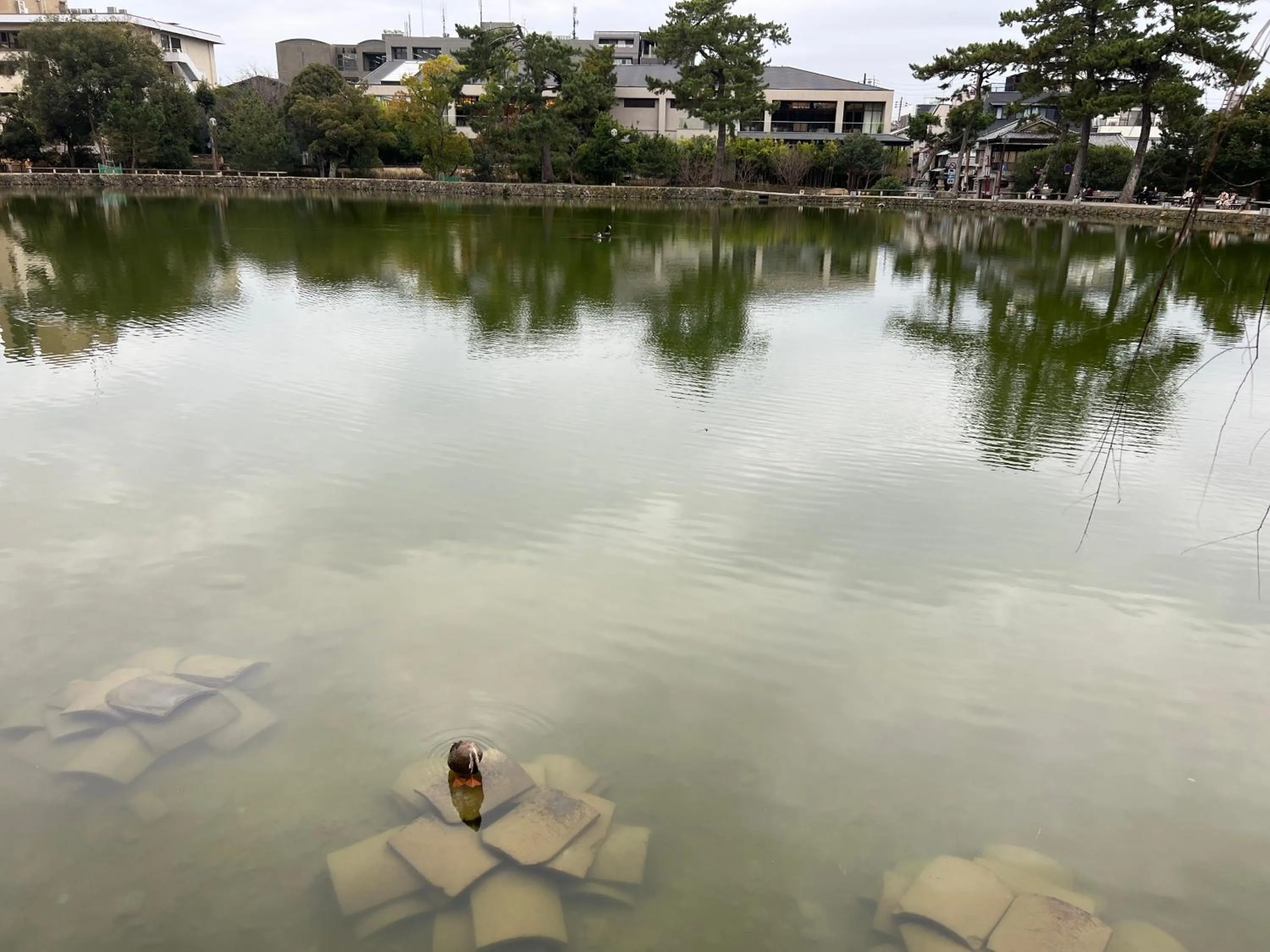Lake view in Ryokan Kousen Kazeya Group