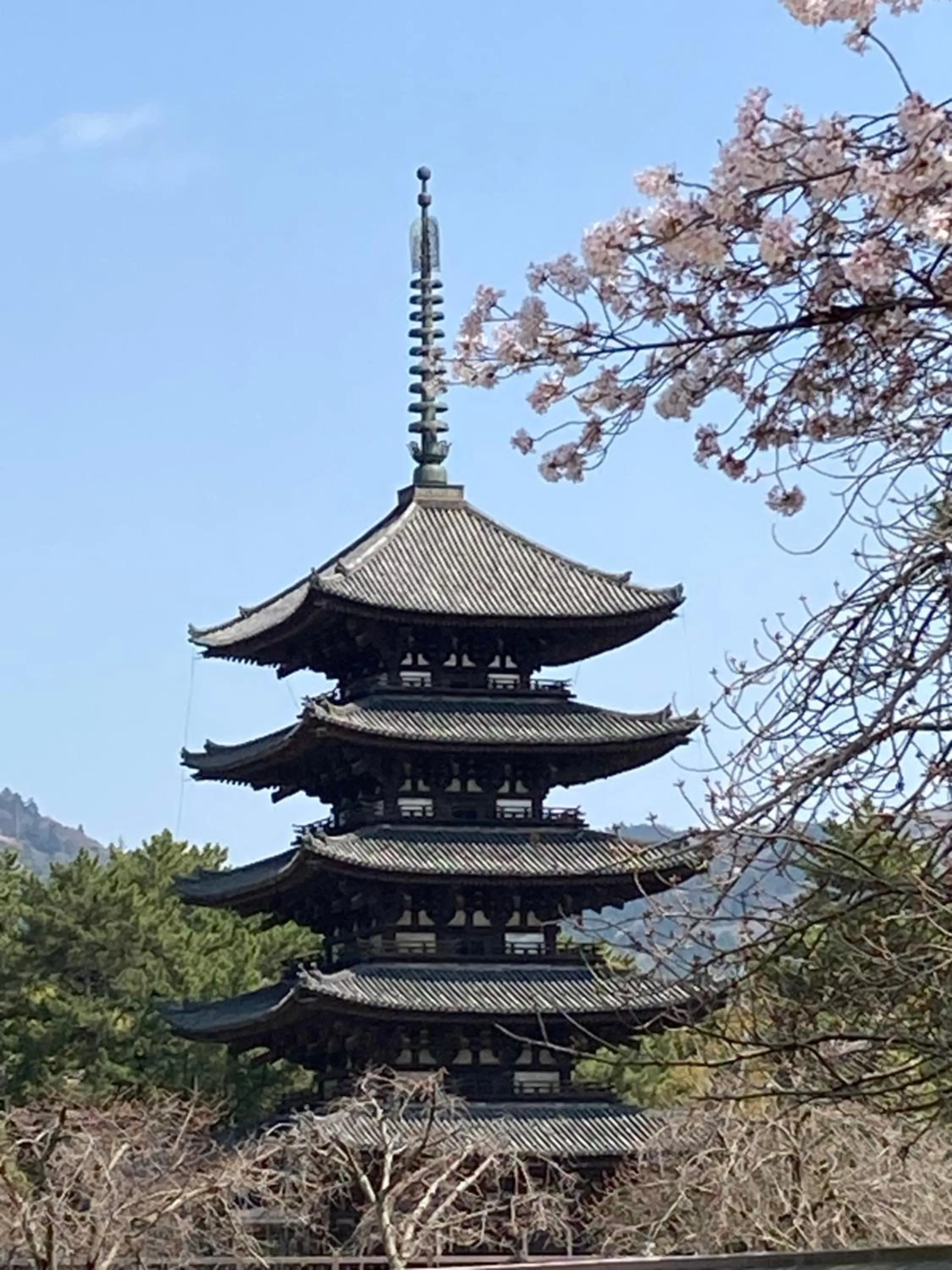 Other in Ryokan Kousen Kazeya Group