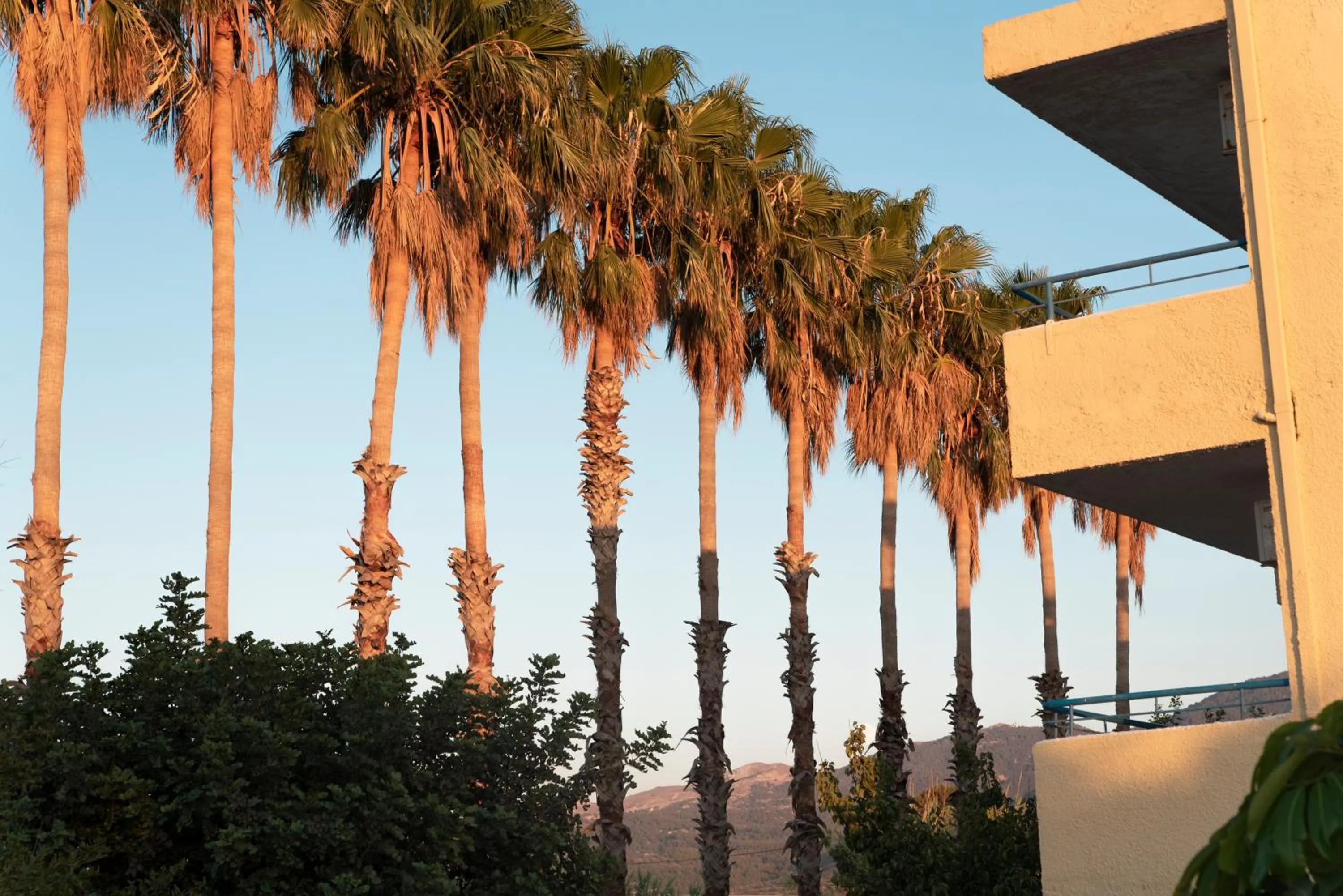 Garden view in Oasis Tigaki