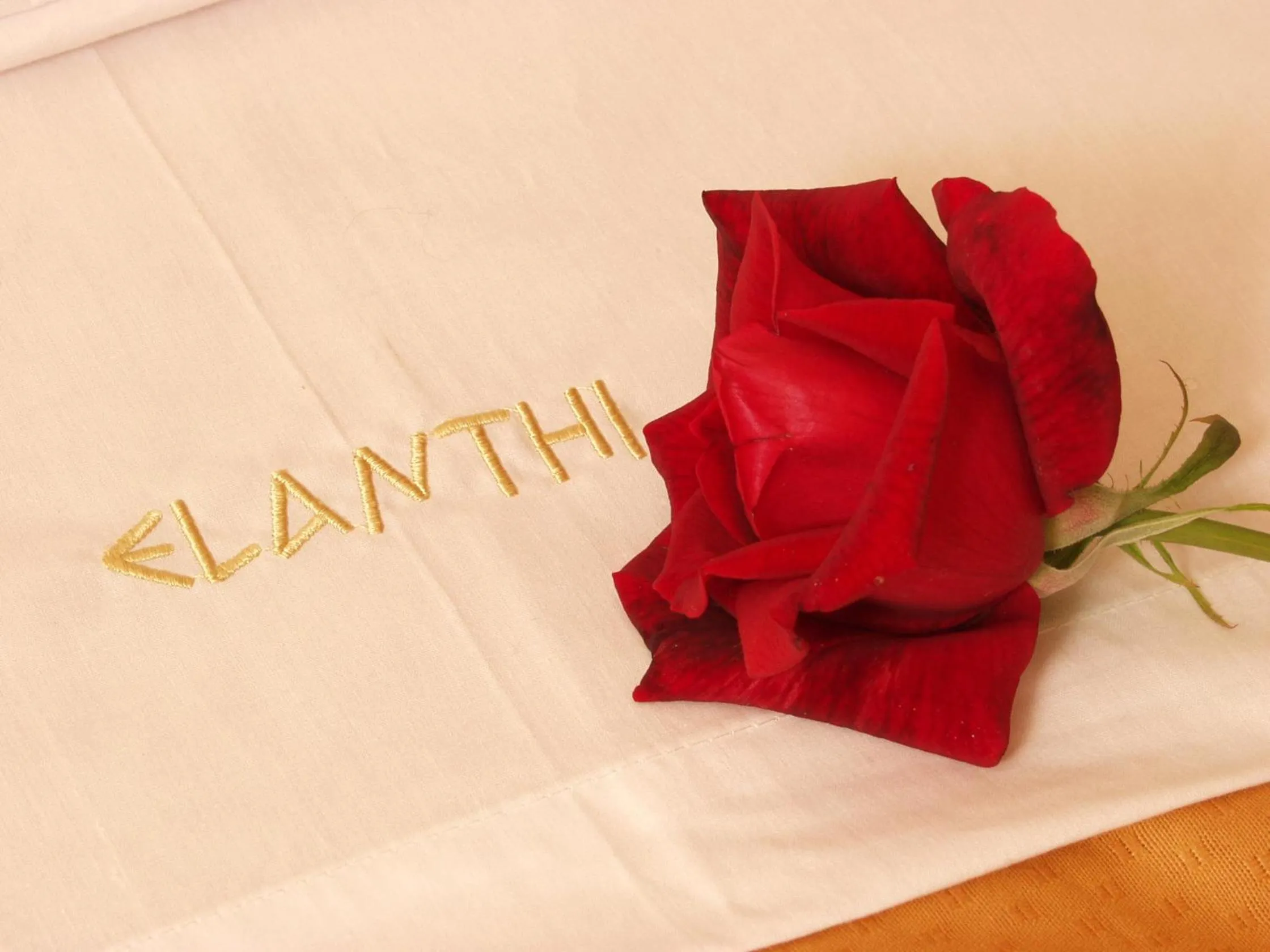 Text overlay in Elanthi Village Apartments