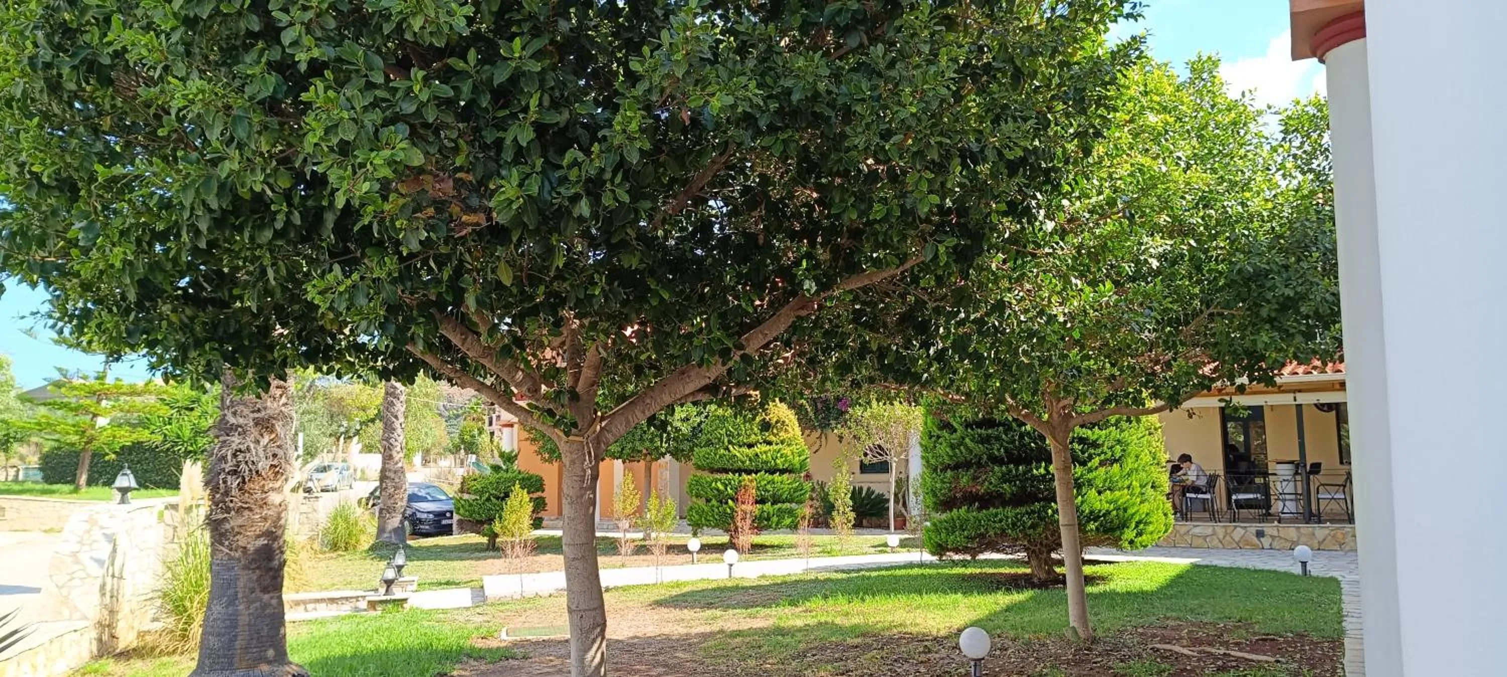 Garden in Elanthi Village Apartments