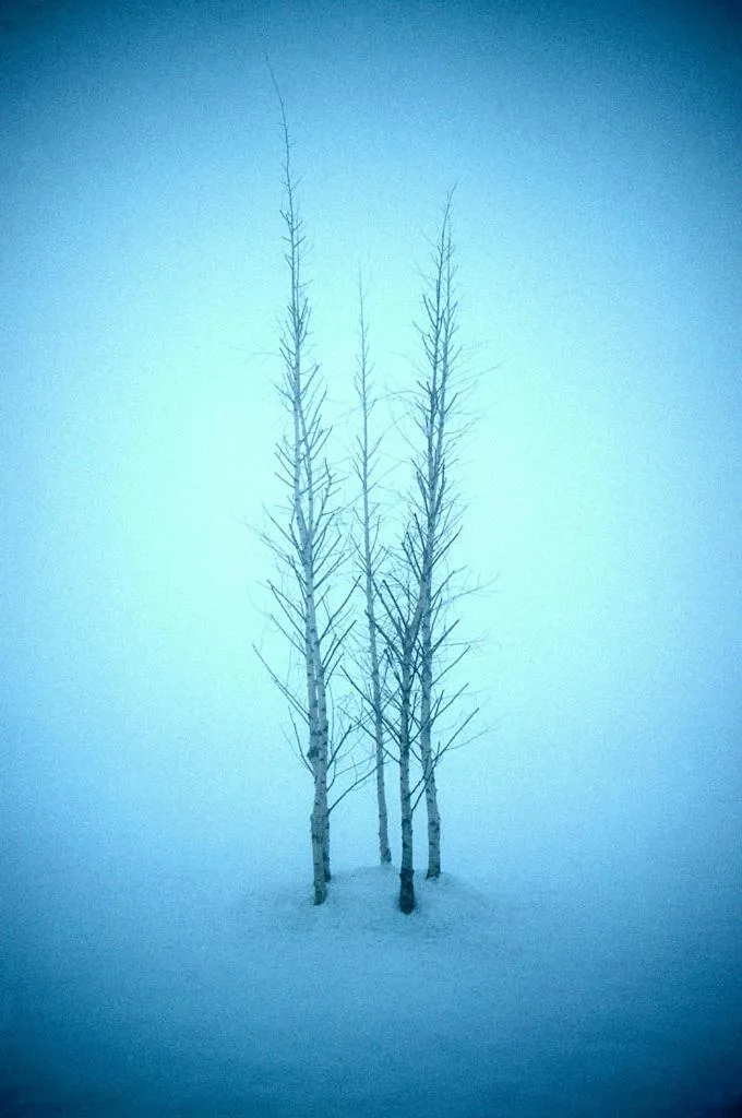Natural landscape in Lynhams Hotel