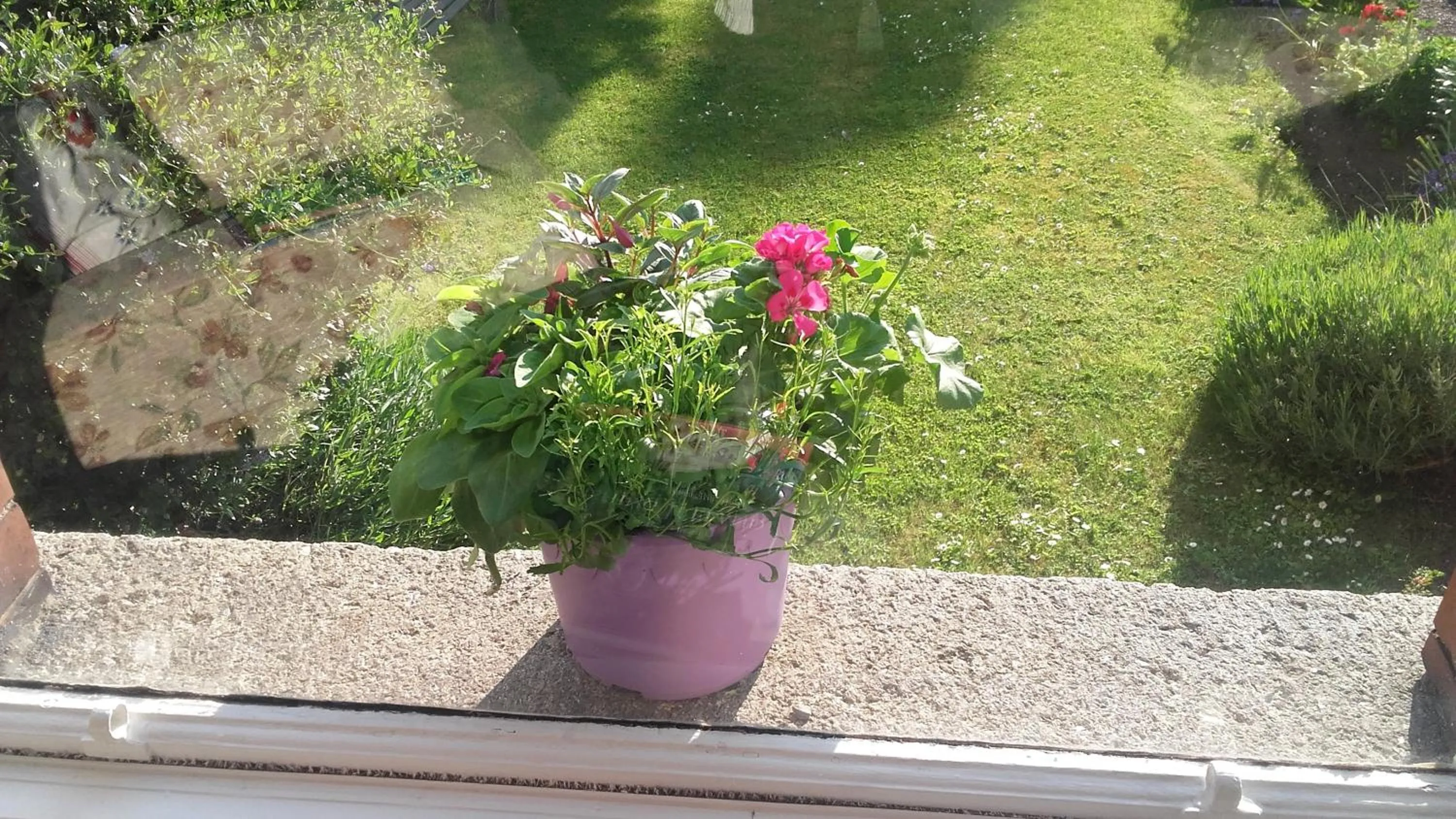 Decorative detail in St. Aiden's Guesthouse