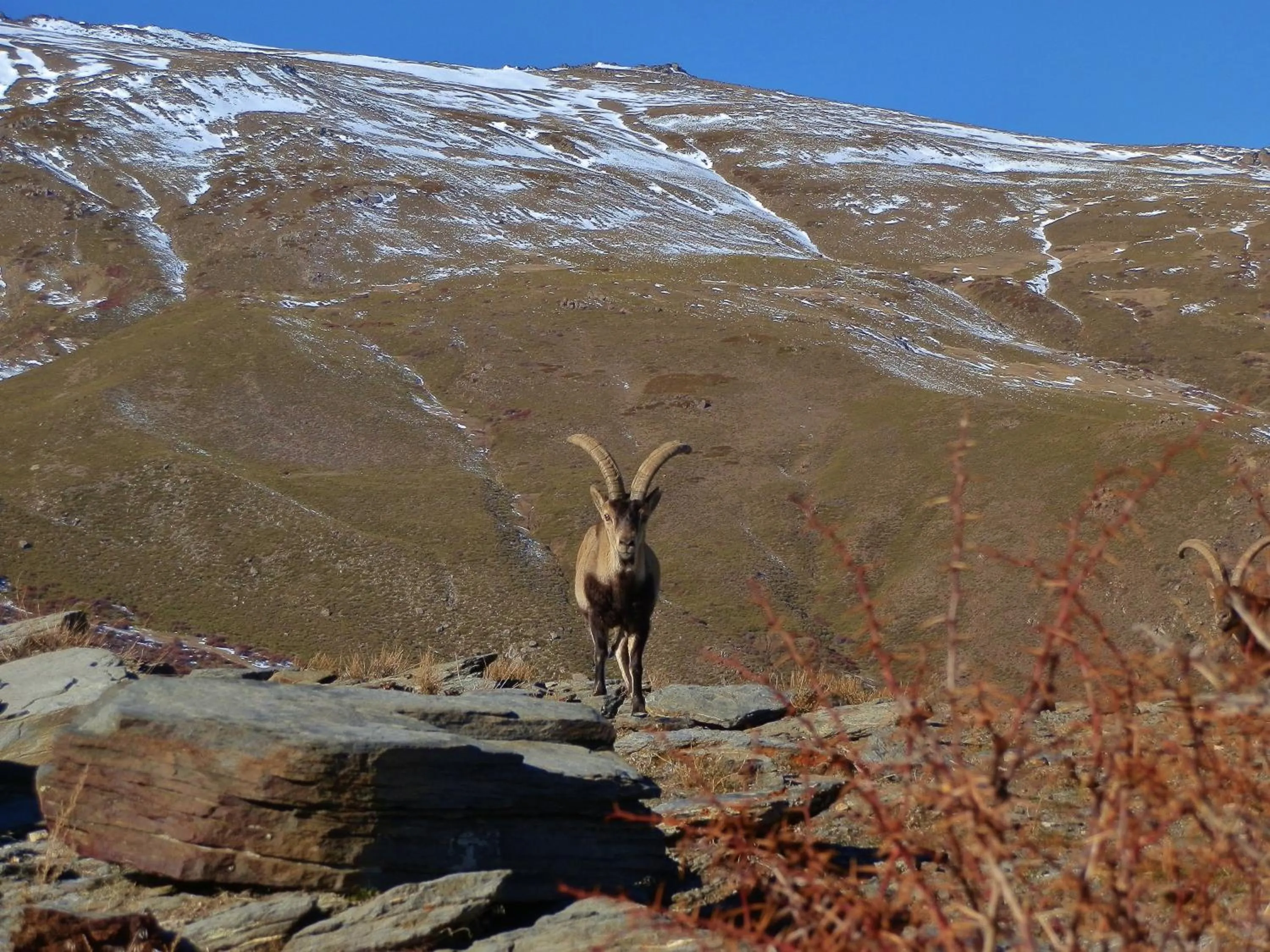 Hiking in LABELLA - Hostal Rural Restaurante