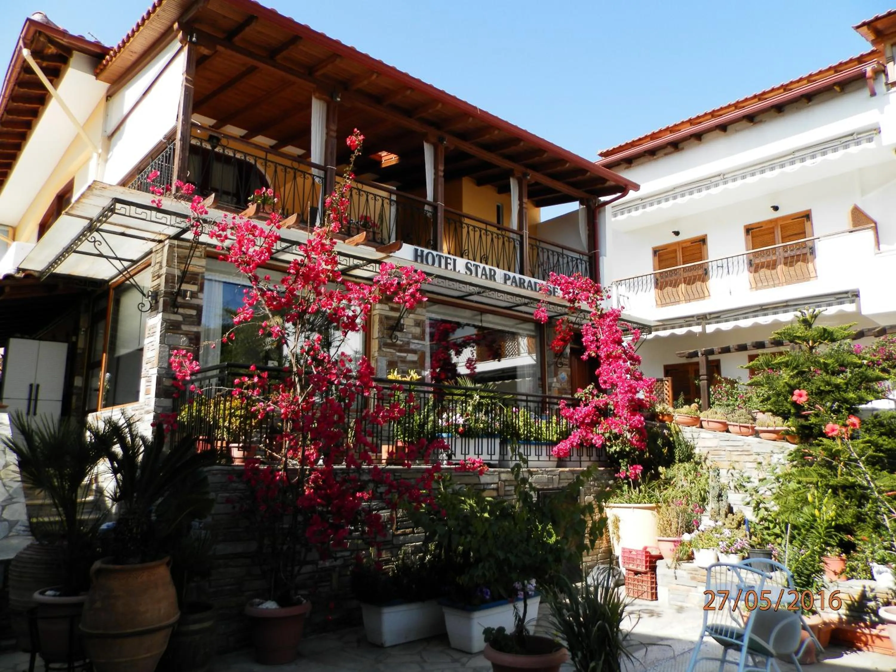 Garden in Star Paradise Hotel