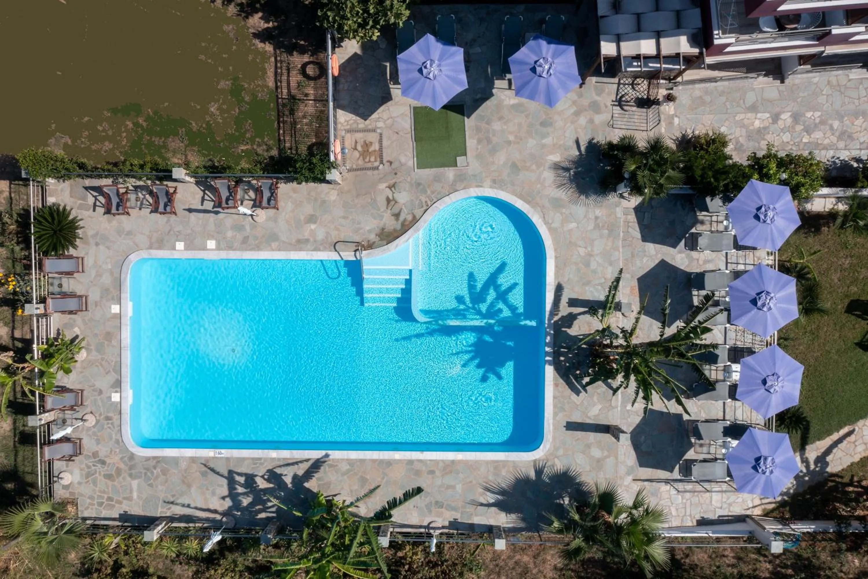 Swimming pool in Star Paradise Hotel